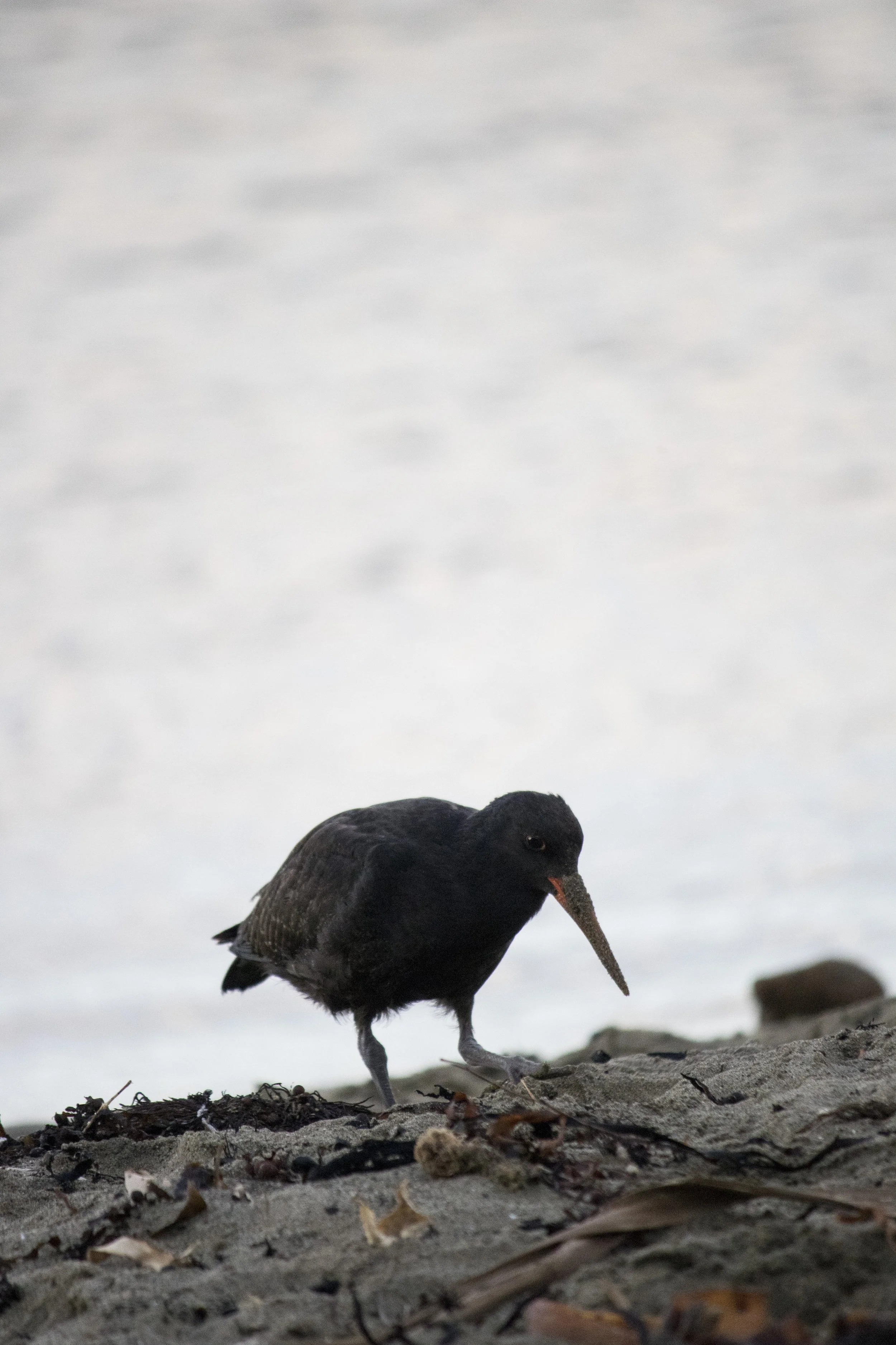 Alison Turner Images_144.jpg