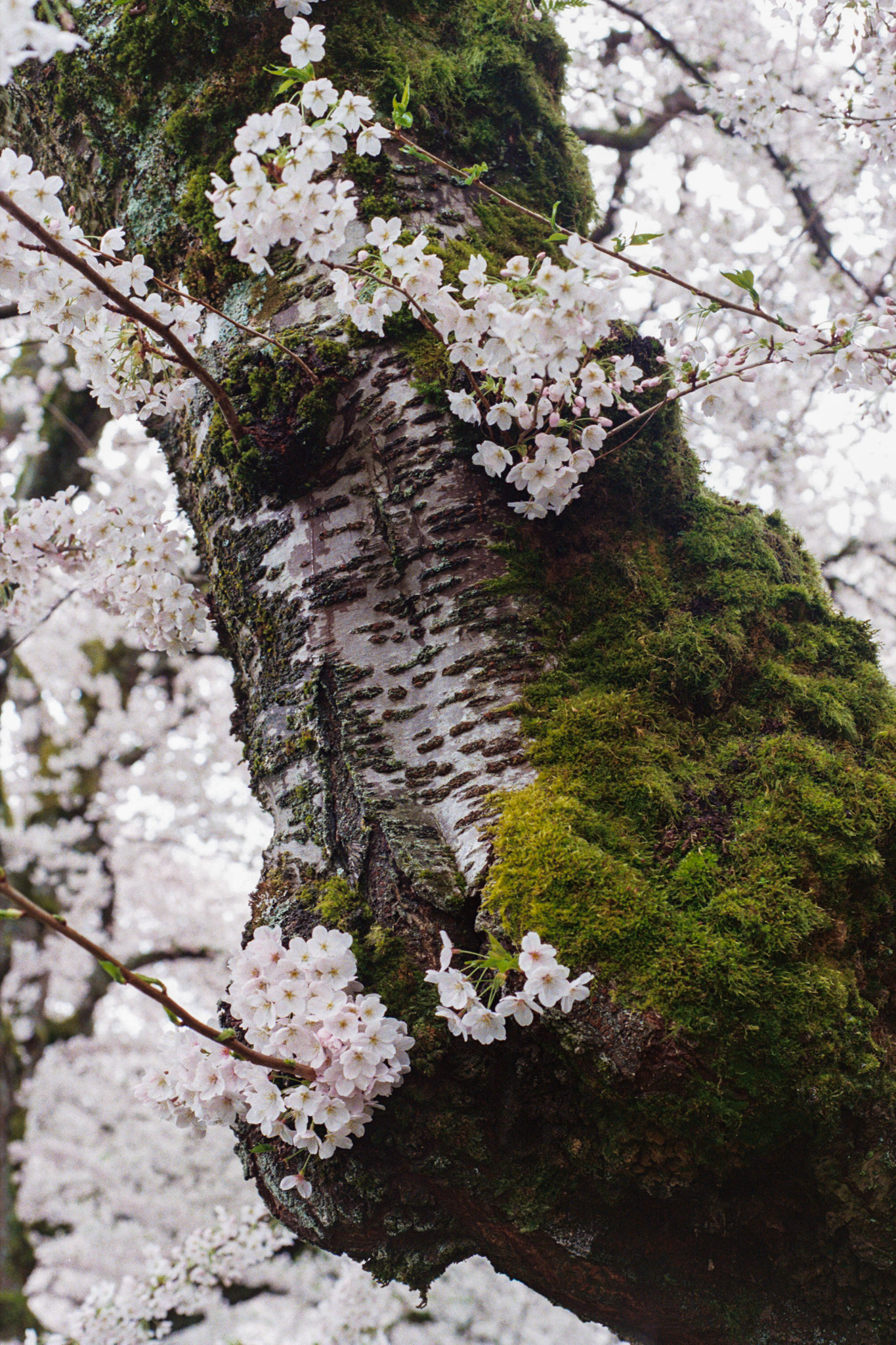 Beginnings never end