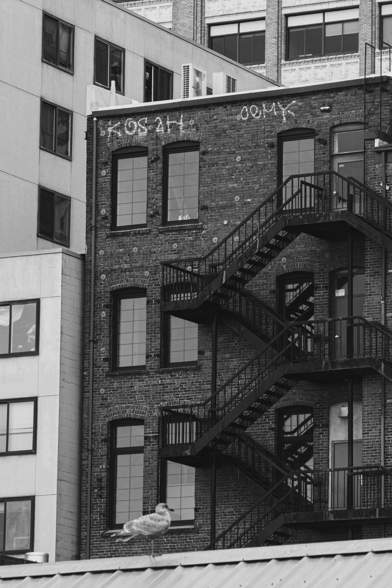 November 2025; Alaskan Way waterfront.