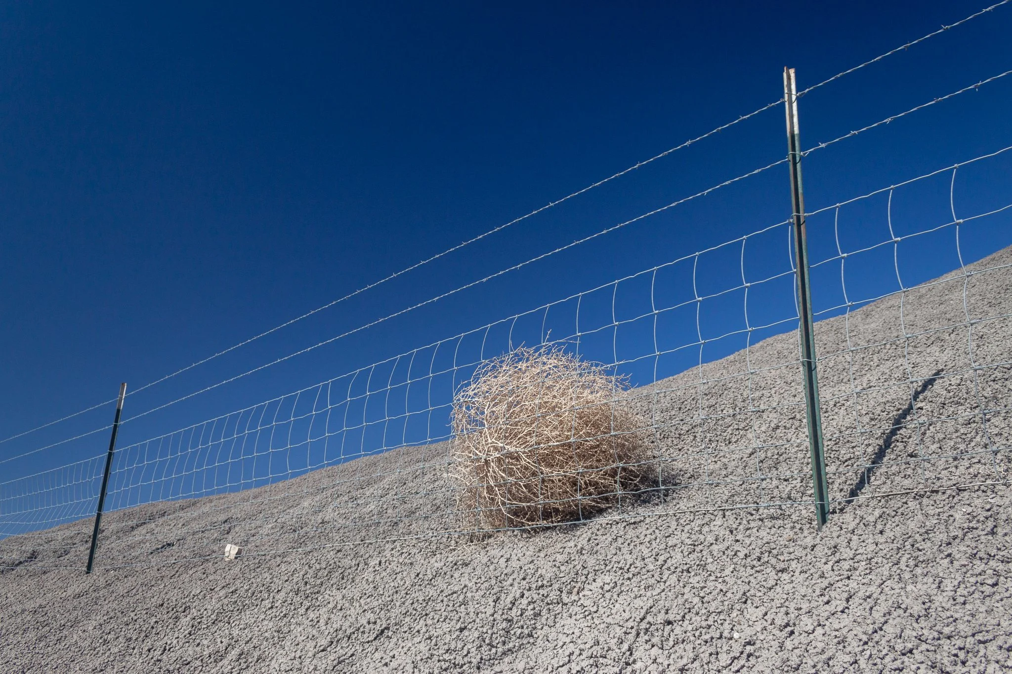 arrested-tumbleweed-01.jpg