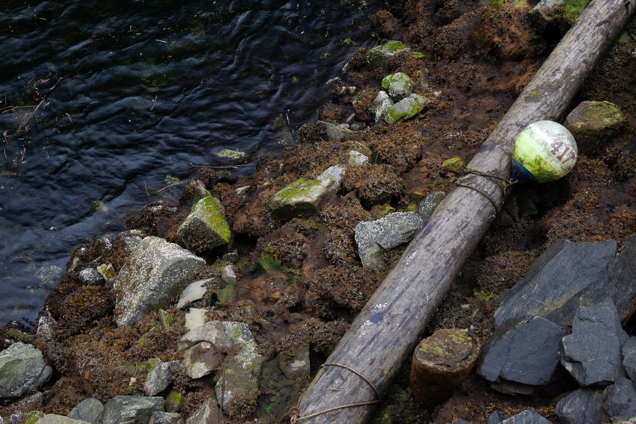 June 2011; Ketchikan, Alaska.
