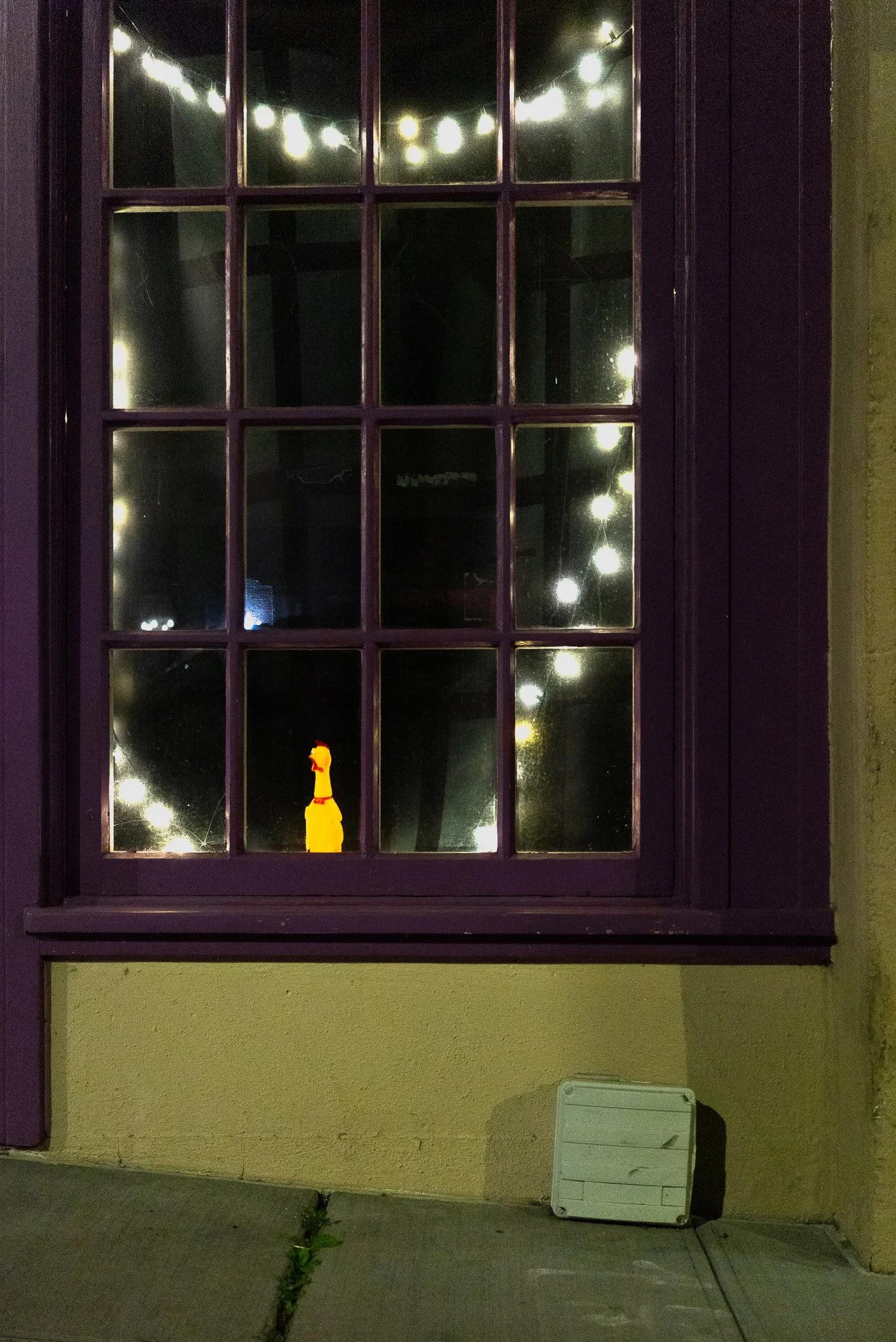 January 2026; below Pike Place.