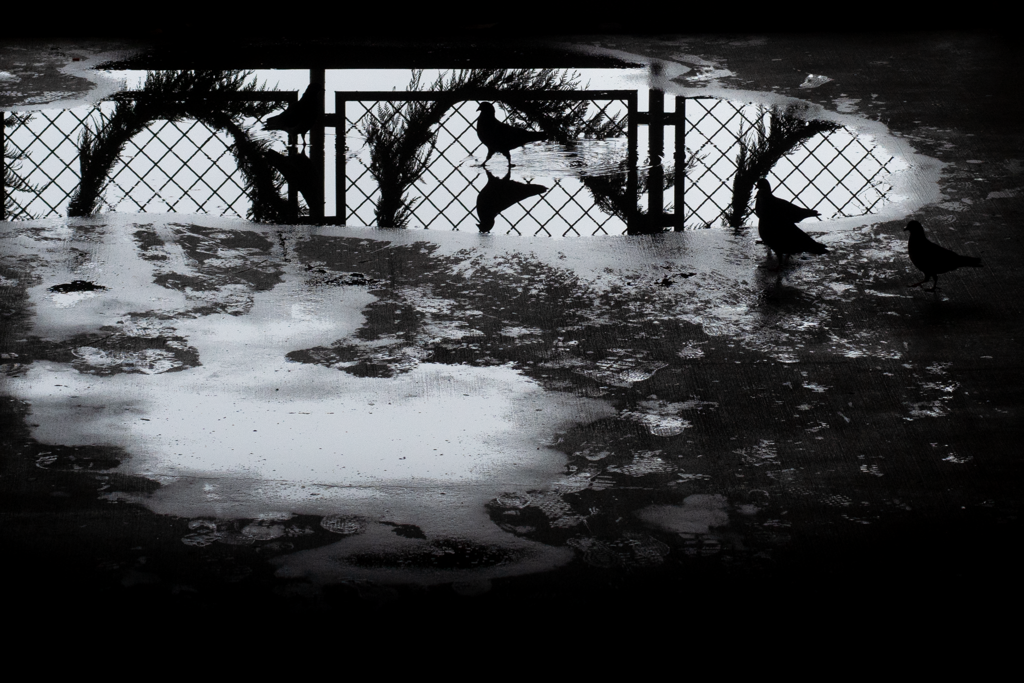 November 2025; Pike Place Market.