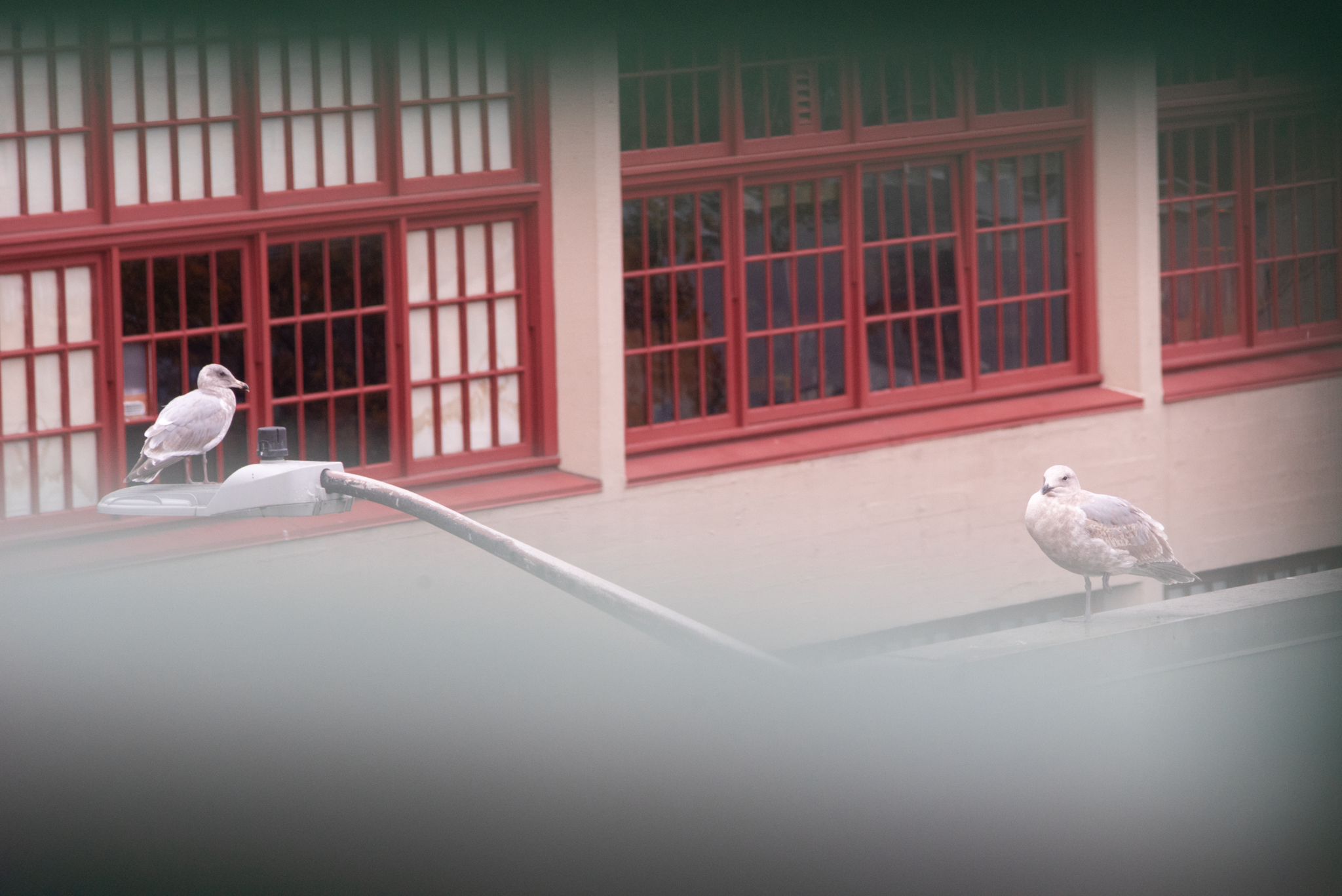 November 2025; Pike Place Market.