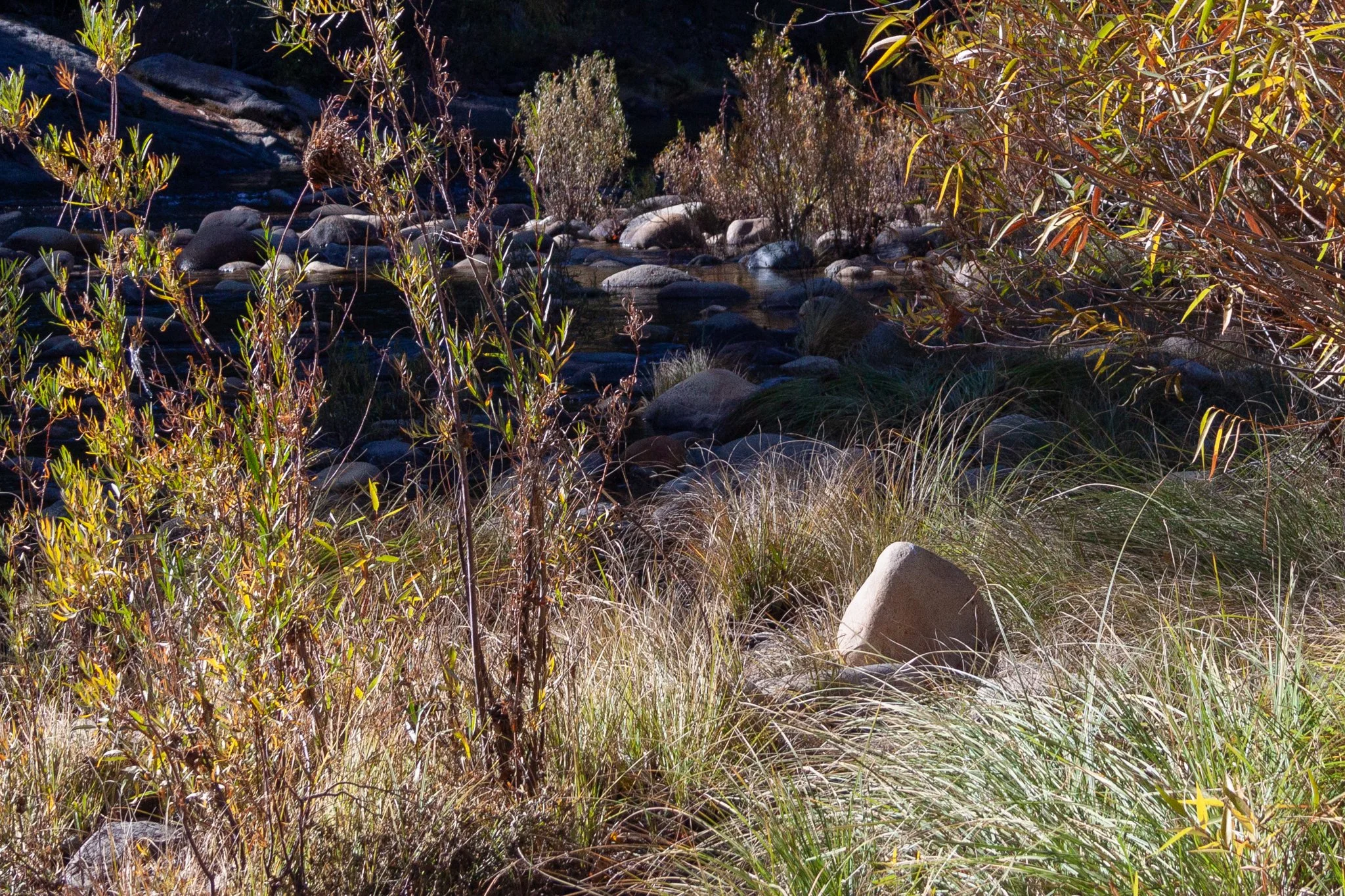 lovely-rock-01.jpg