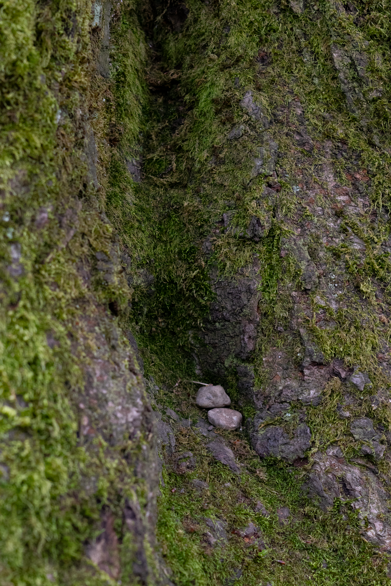 March 2026; UW Quad.