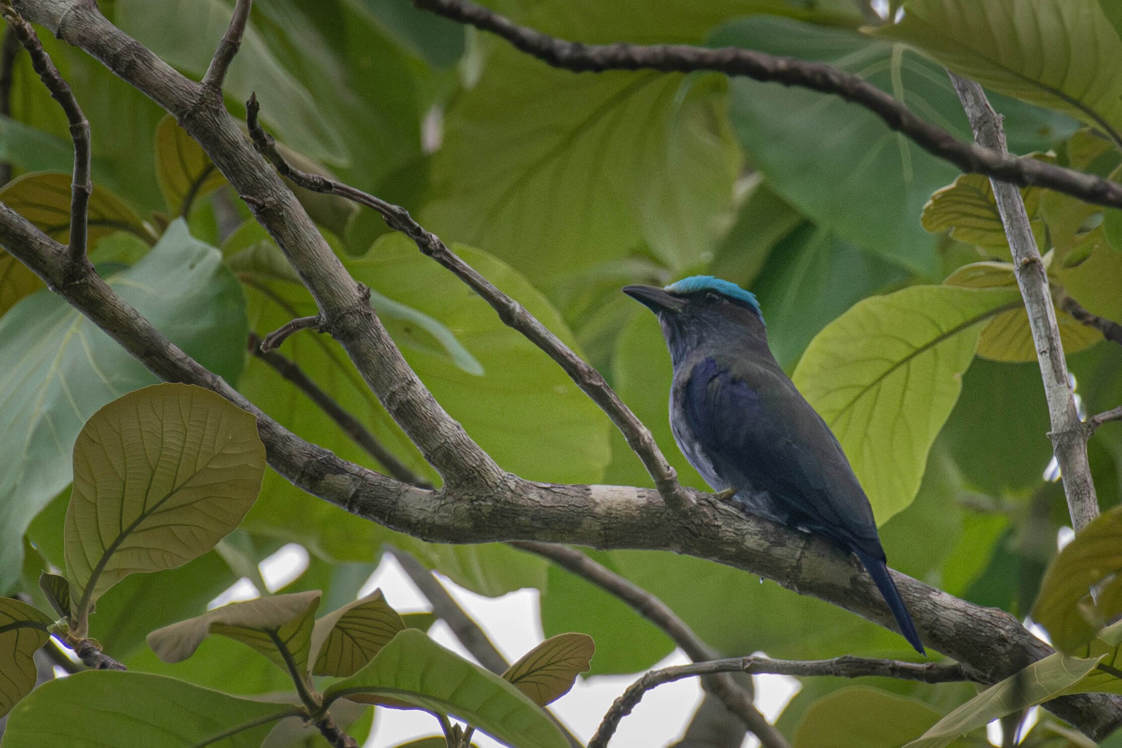DSC_4769.jpg