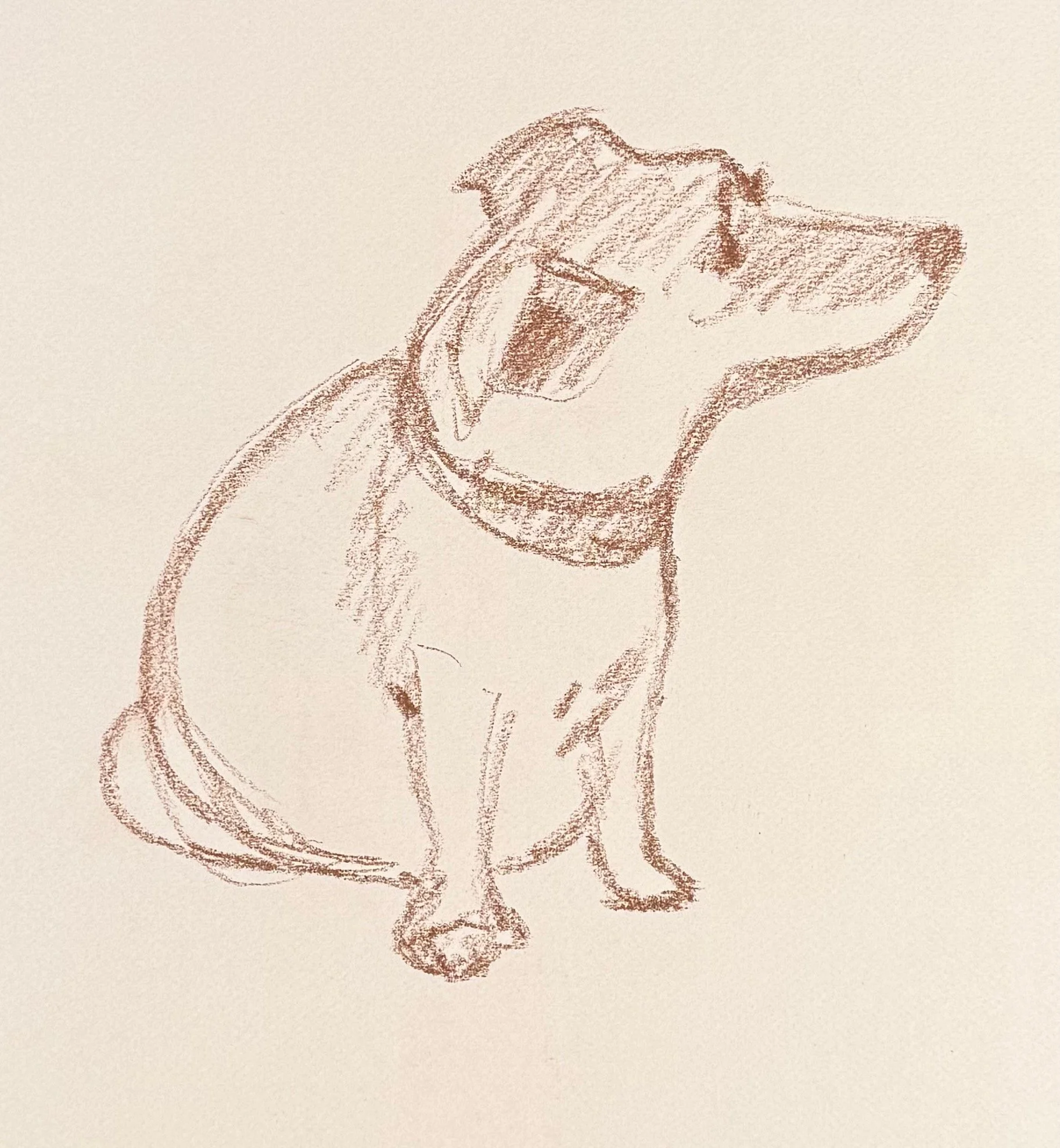Leeanne's dog by Alexey Naumenkov