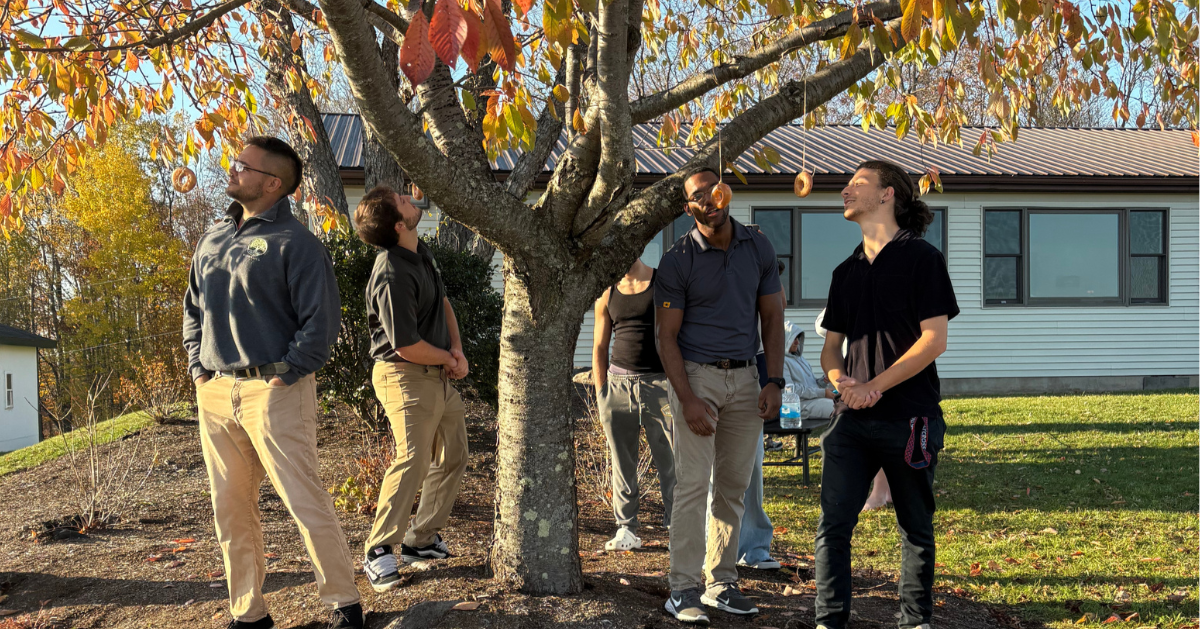 Staff take part in a donut-on-a-string game, eating donuts hanging from a tree during a fall activity.