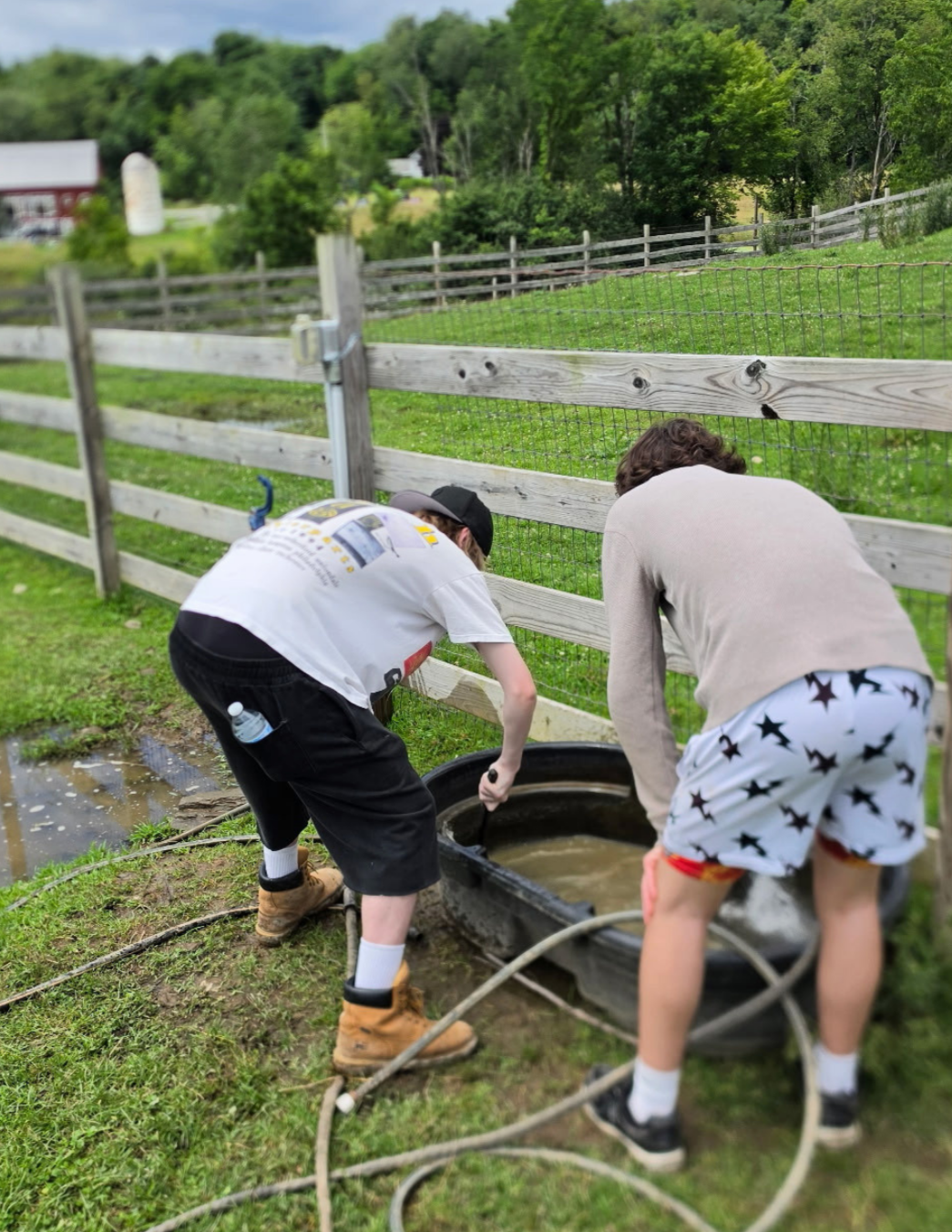 Woodhaven residents volunteering together at Indraloka Animal Sanctuary