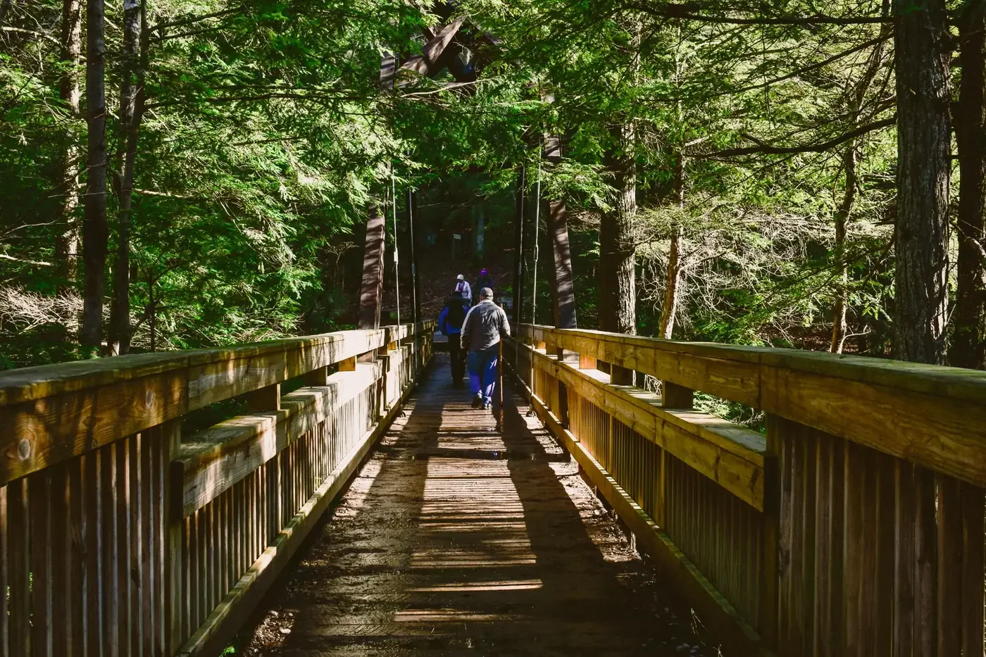 Teens walking across a wooded bridge, representing growth, independence, and the residential continuum at Woodhaven Recovery.