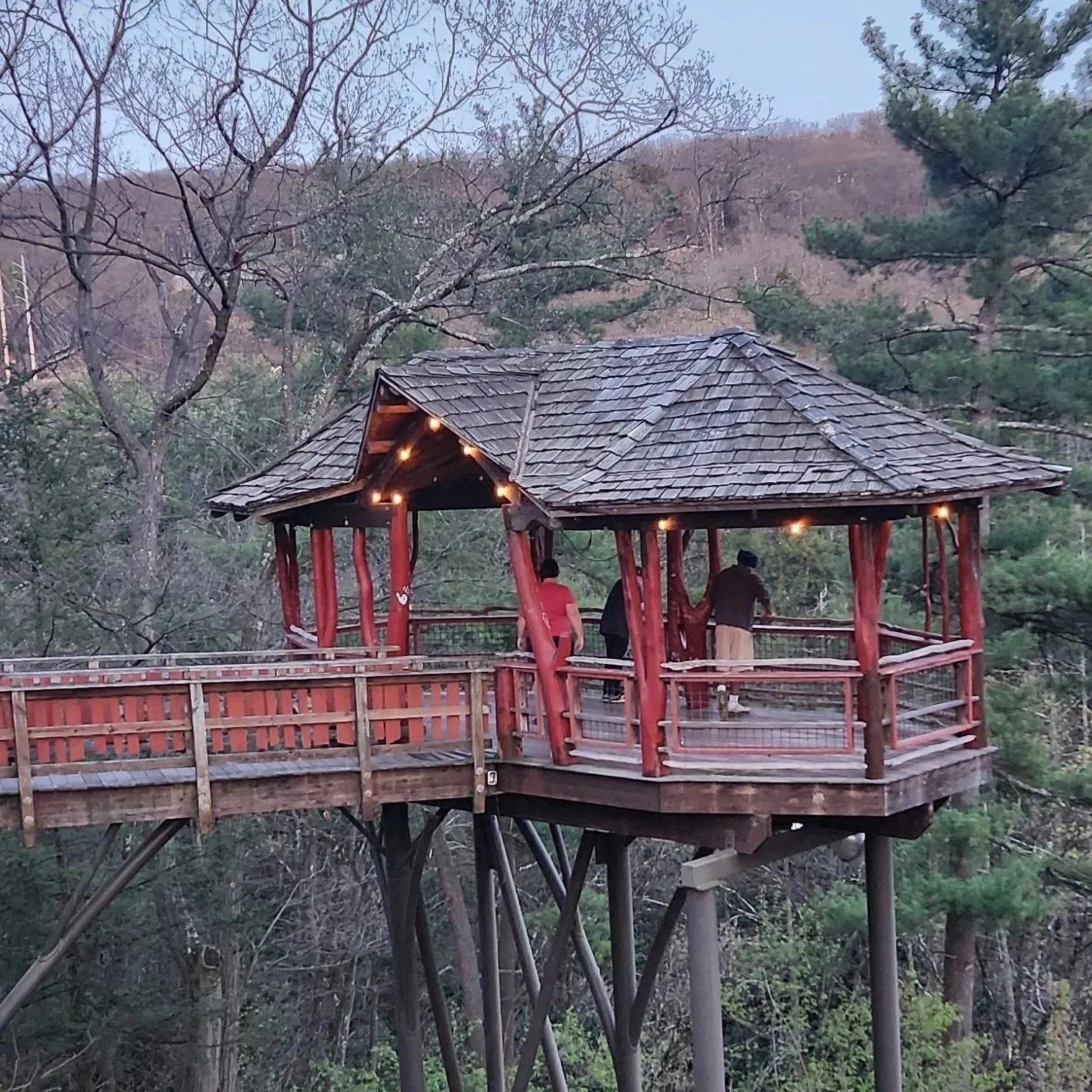 Woodhaven Recovery residents enjoying time outdoors during a local park hike, reflecting recreation, connection, and recovery.