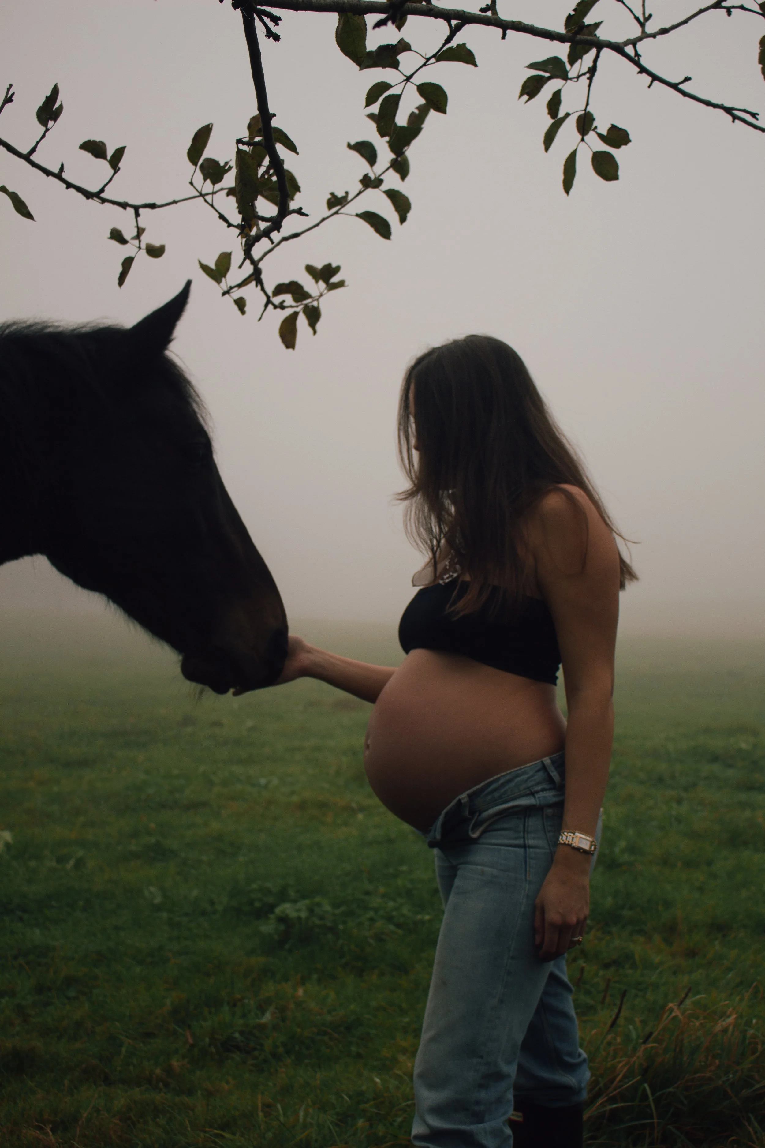 Schwangerschaftsfotografie mit Pferd im Kanton Thurgau