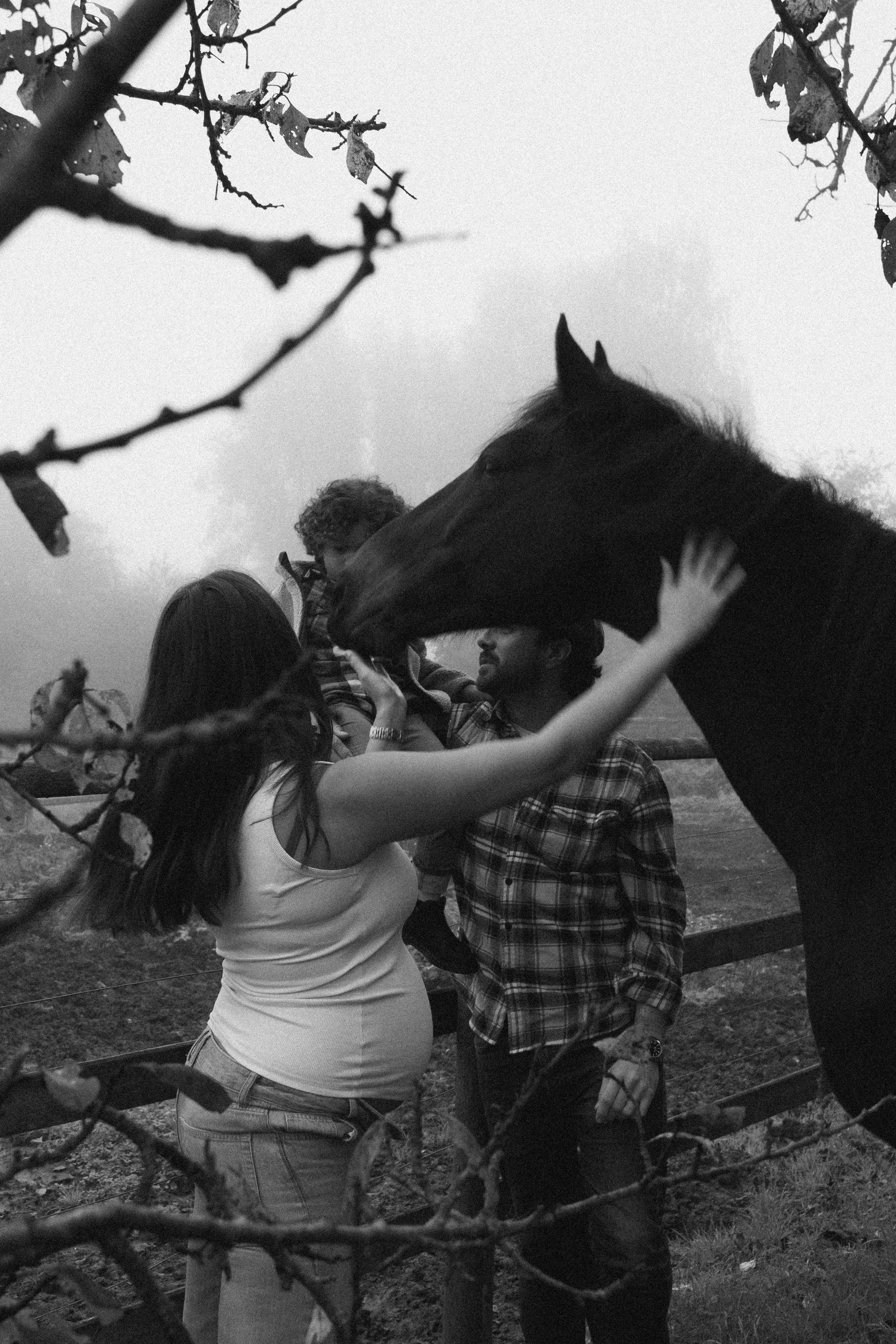 Schwangerschaftsfotografie mit Pferd im Kanton Thurgau