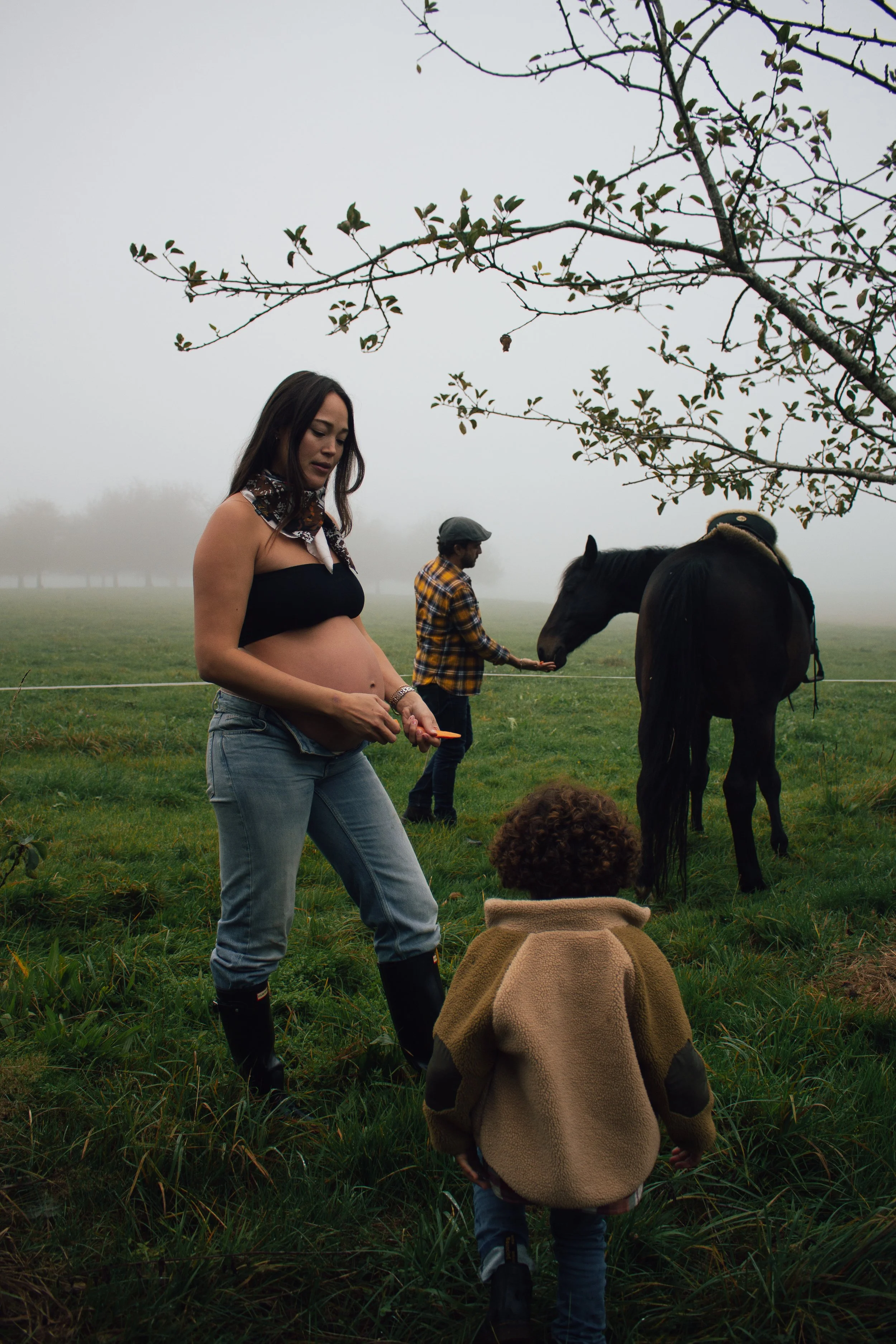 Schwangerschaftsshooting im Freien – natürliche Portraits einer werdenden Mutter in der Natur mit Vater, Kind und Pferd