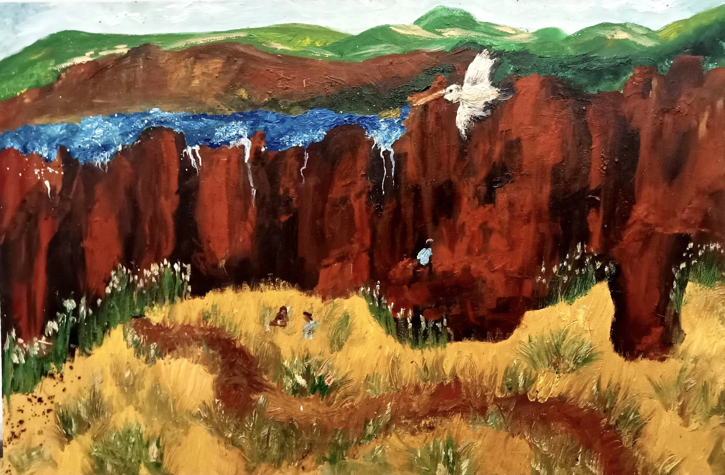 Bombo Headlands