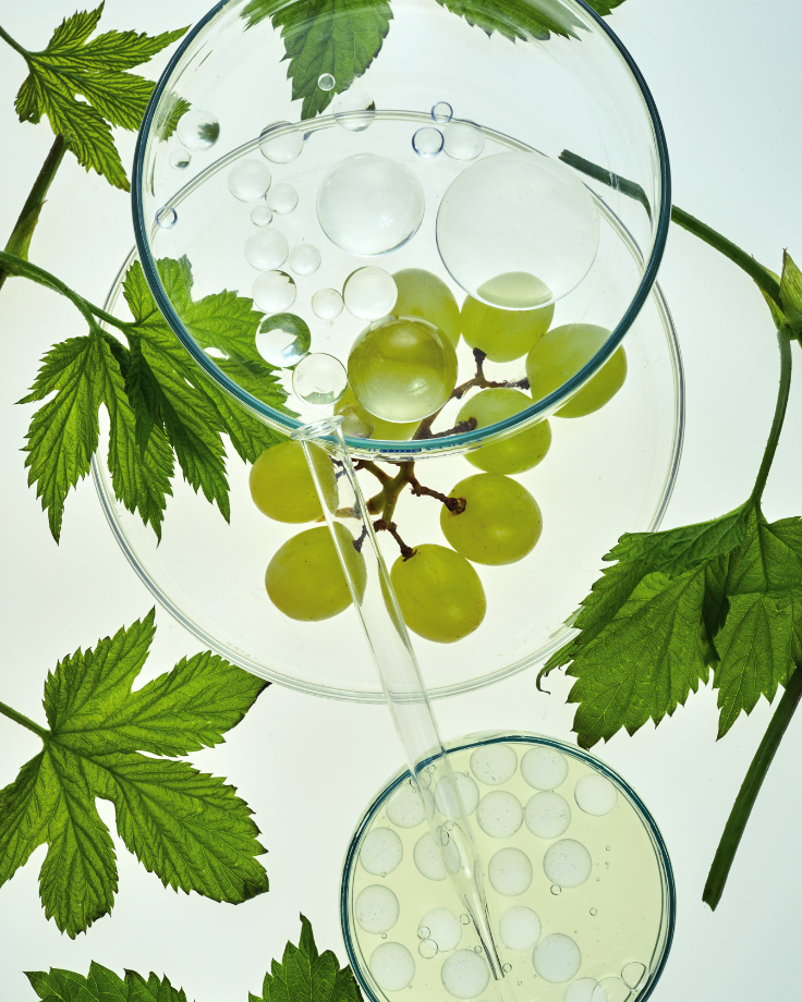 Translational Research