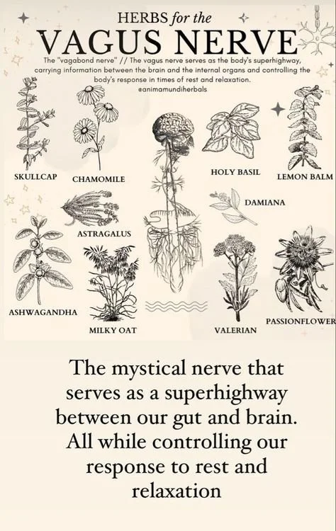 What Are the 5 Top Stressors in Life?