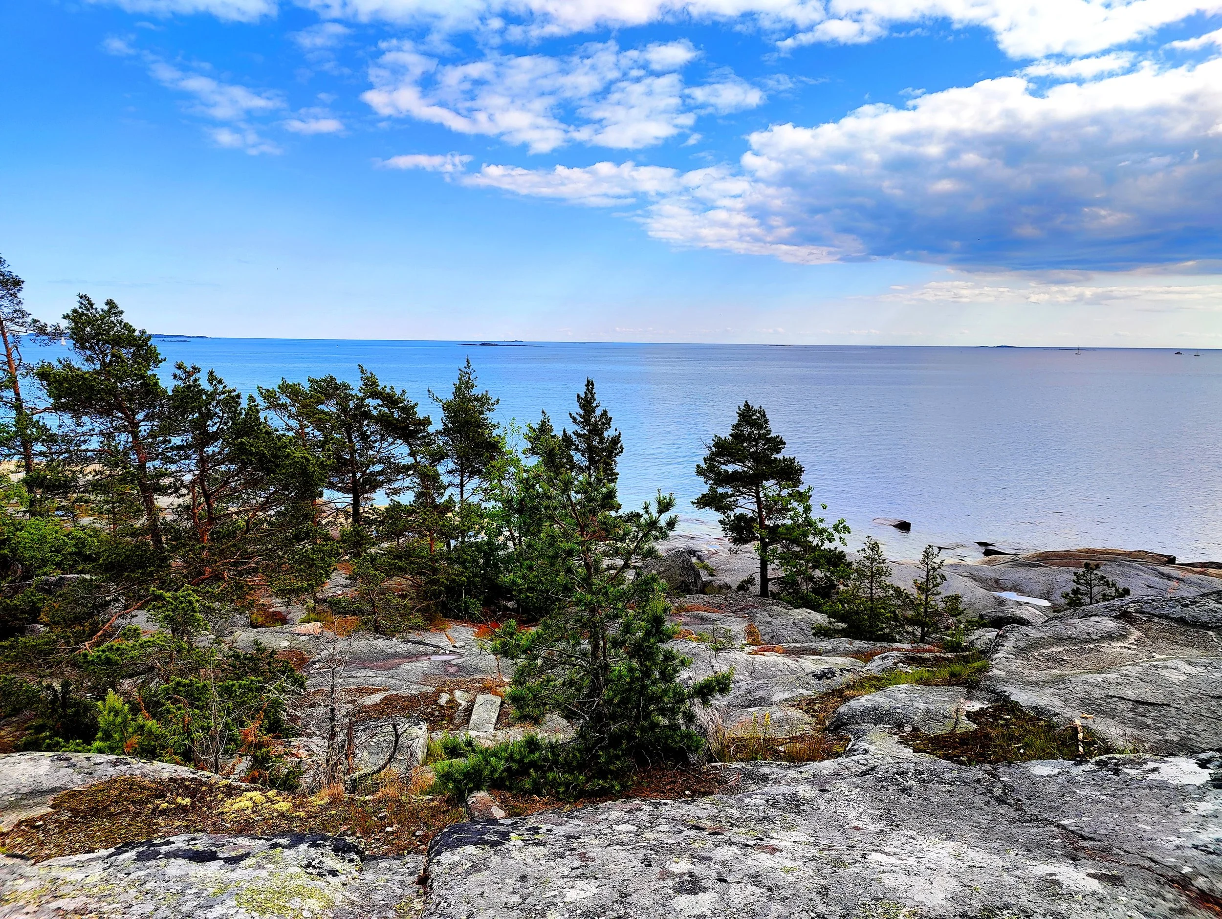 A scenic view of a rocky shoreline with pine trees in the foreground, calm blue water, and a partly cloudy sky.