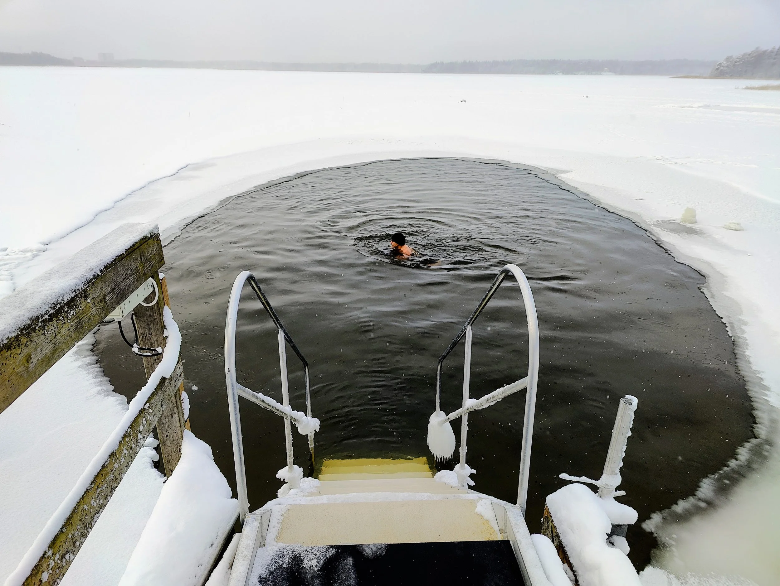 Person swimming in an icy lake with a snowy shoreline, ladder leading into the water, winter landscape with snow and ice.