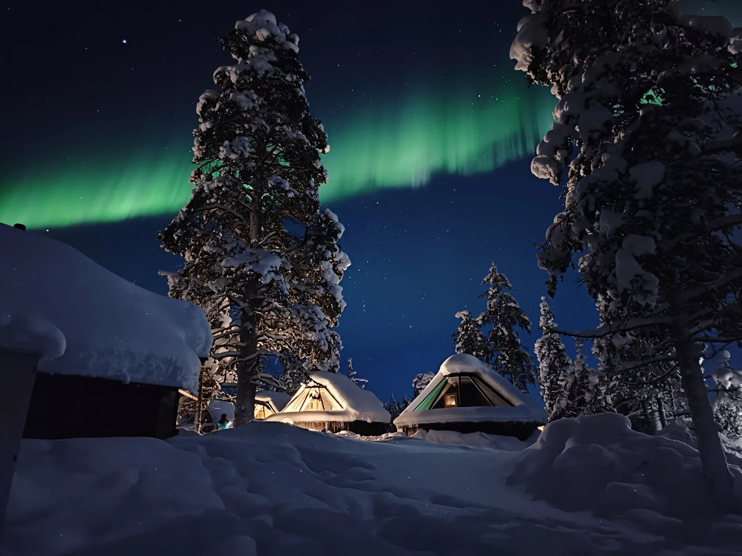 Snow-covered trees and A-frame cabins under the Northern Lights at night.