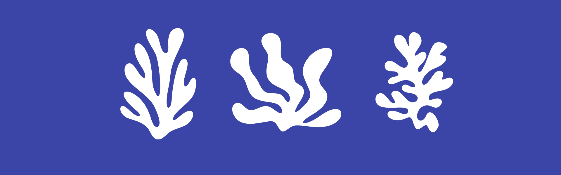 Icons to use across digital and print, harking back to the logo design. 