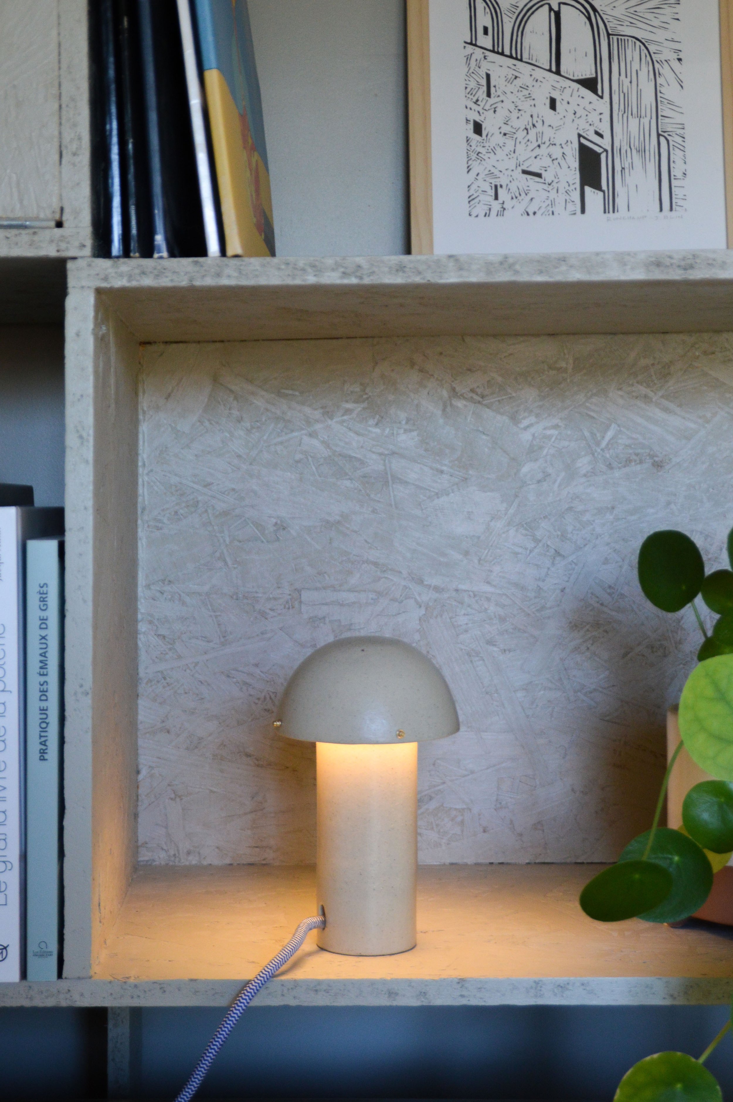 JORISDSC_0037-2 copie.JPG