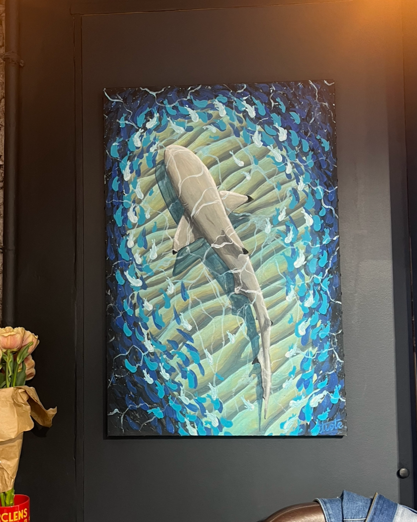 Requin à pointes noires - 90x60cm - 900e
