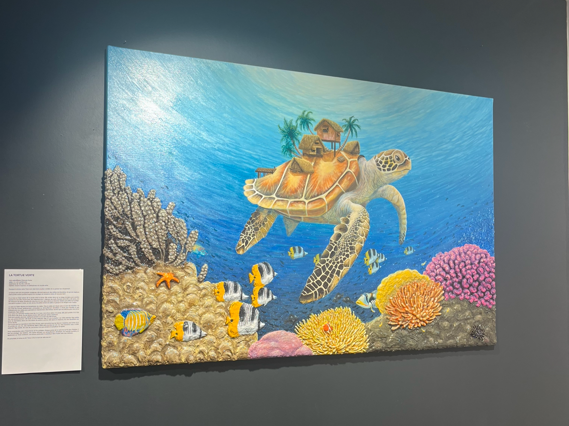 Te Honu - 1mx1m50 - 3200e