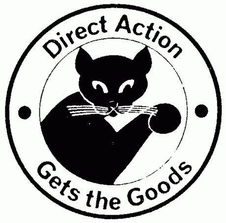 Strategy workshop on direct action