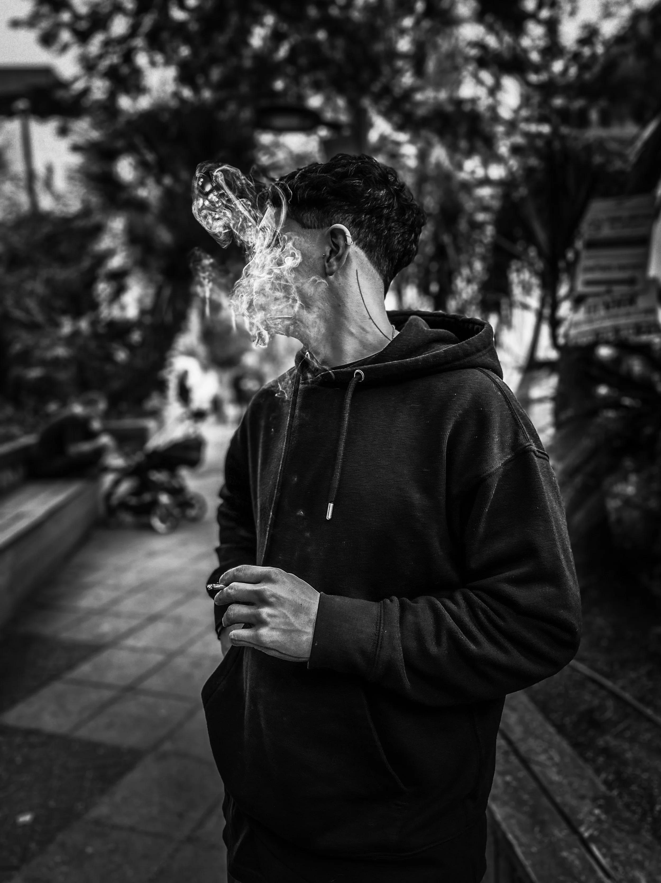 Smoke and Shadows, 2024