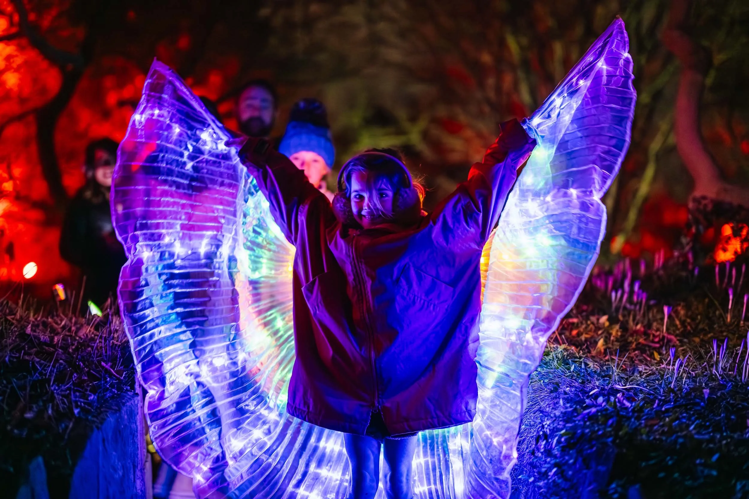 Birmingham Light Festival - 2026 Past Editions Gallery-33.jpg