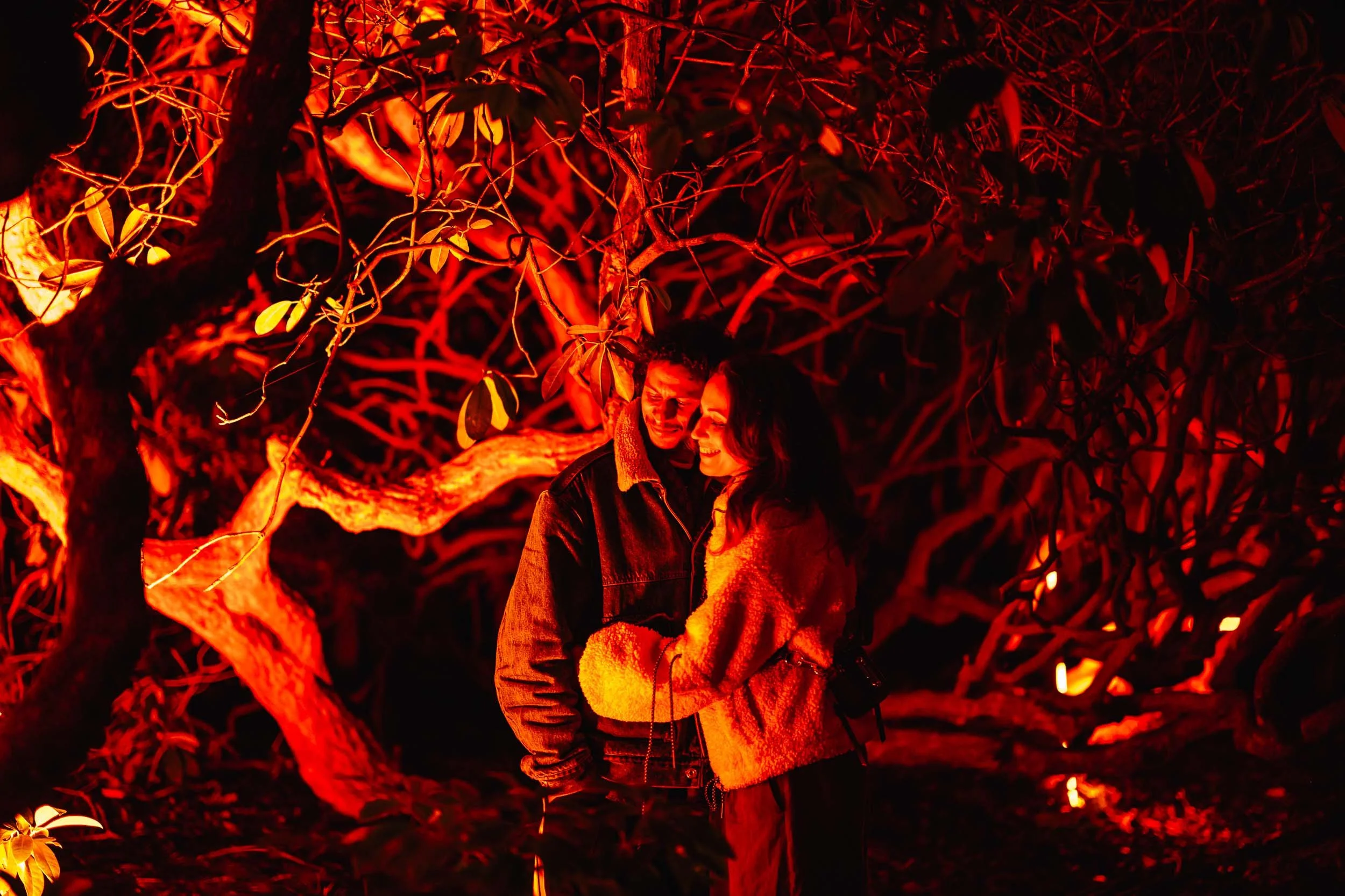 Birmingham Light Festival - 2026 Past Editions Gallery-34.jpg