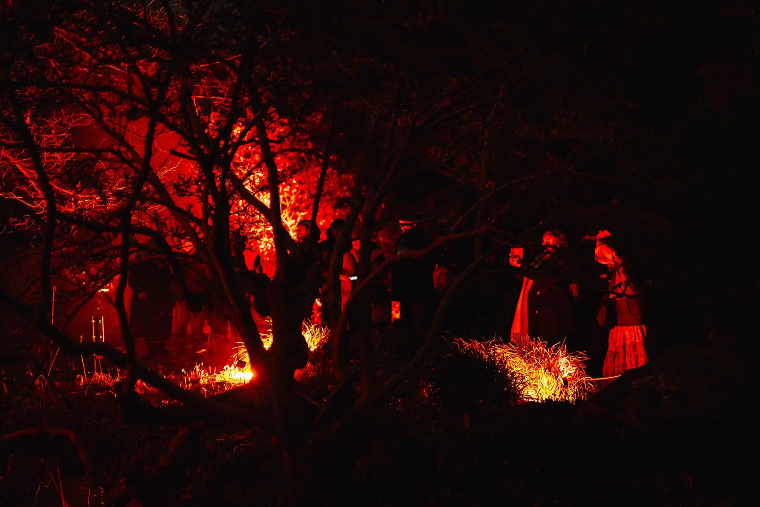 Birmingham Light Festival - 2026 Past Editions Gallery-30.jpg