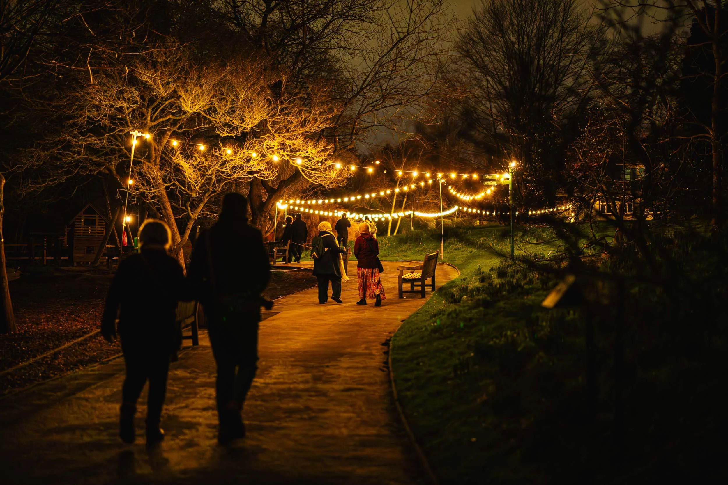 Birmingham Light Festival - 2026 Past Editions Gallery-31.jpg