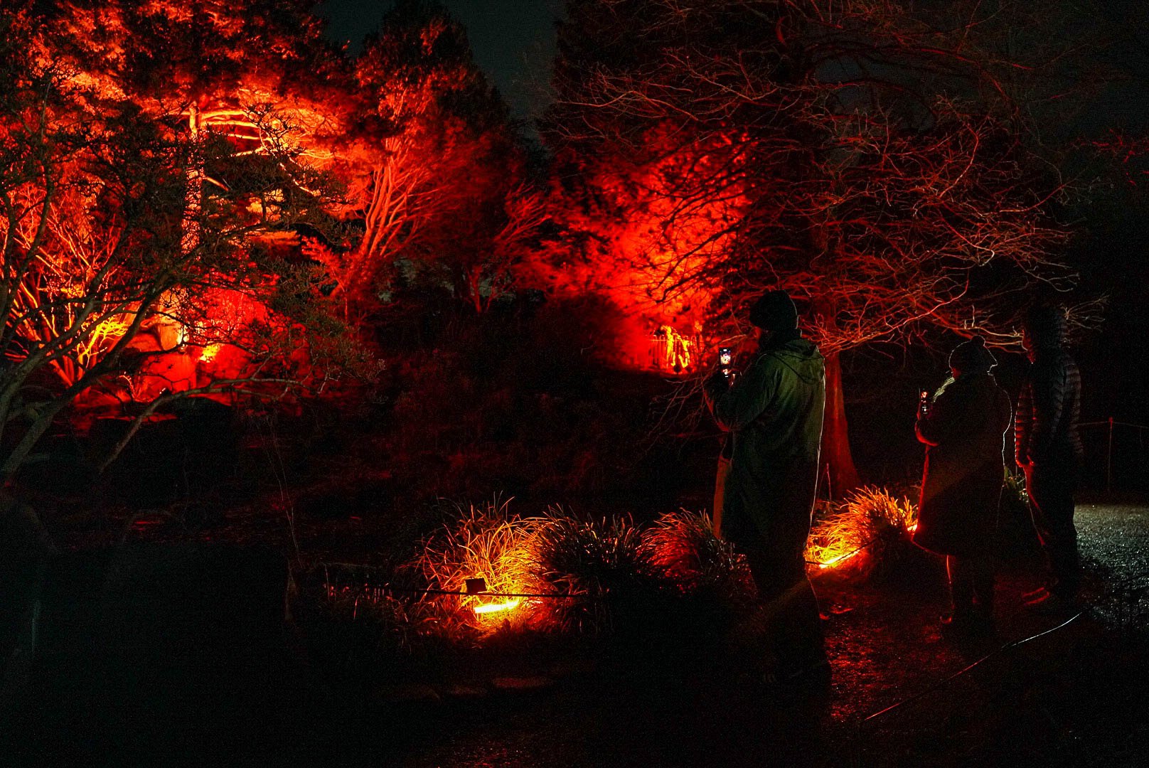 Birmingham Light Festival - 2026 Past Editions Gallery-43.jpg