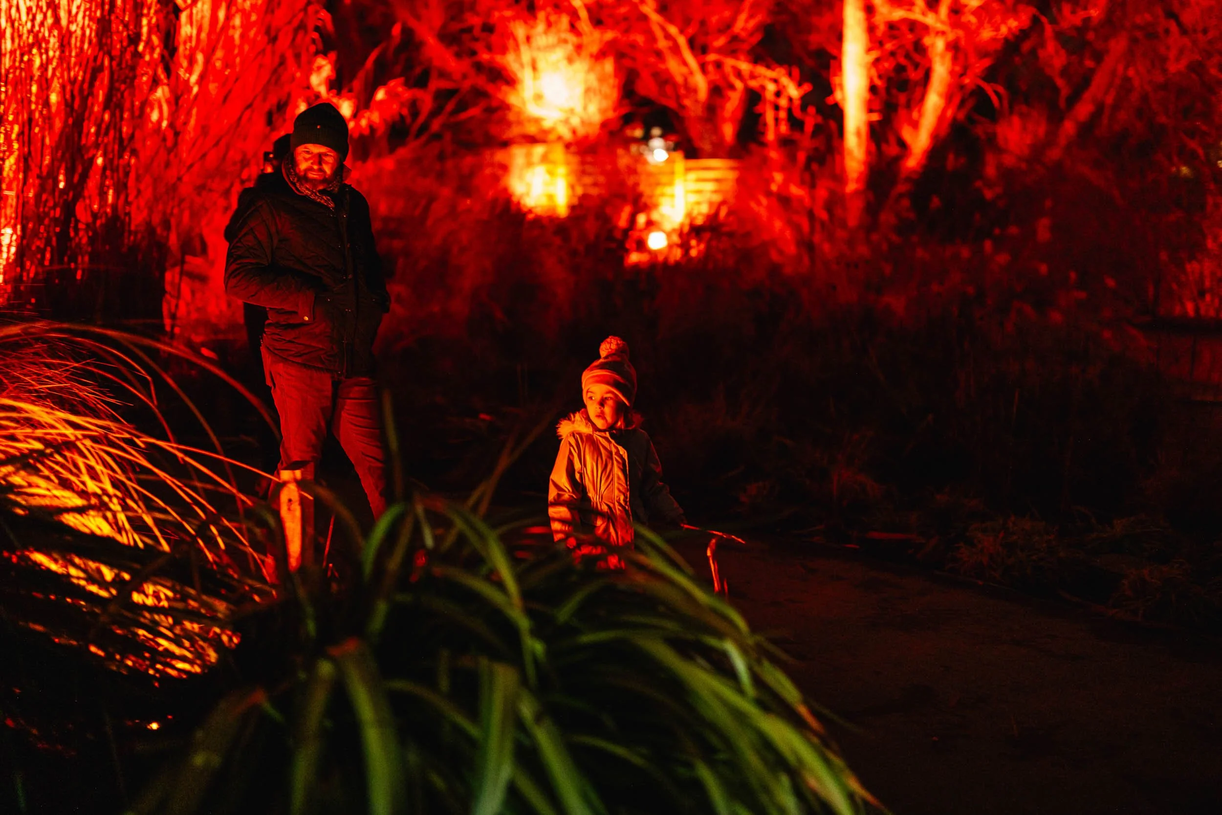 Birmingham Light Festival - 2026 Past Editions Gallery-32.jpg