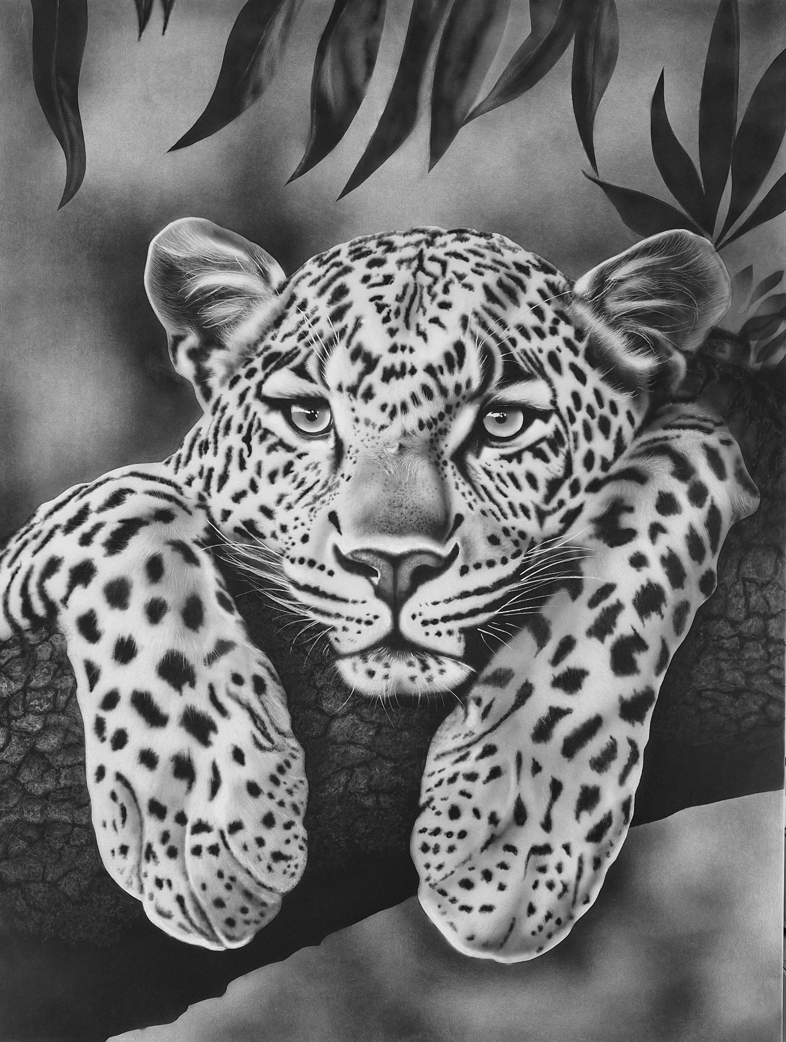 Chill Leopard 30x40 inch Canvas