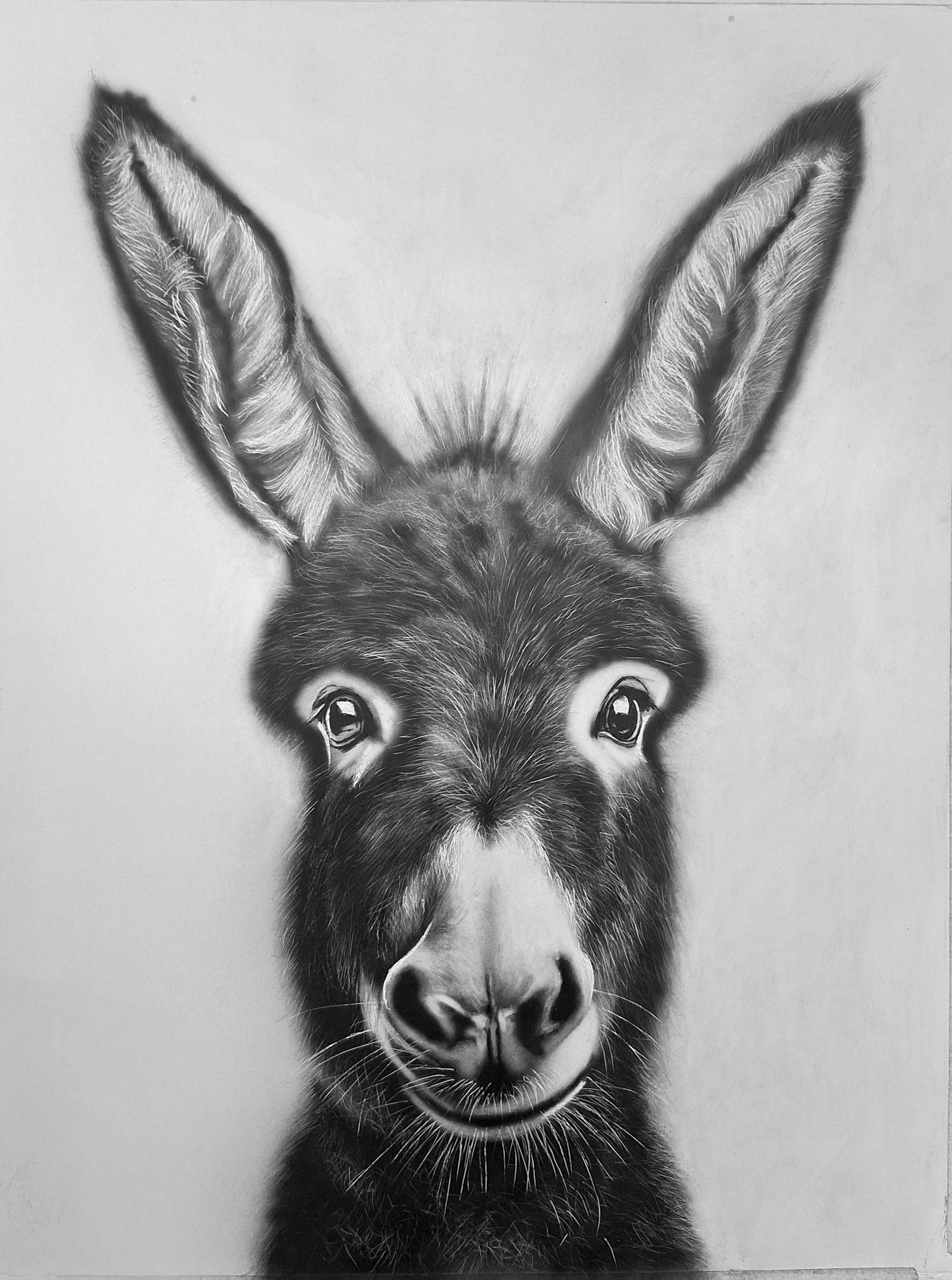 Cute Baby Donkey 12x16 hot press paper