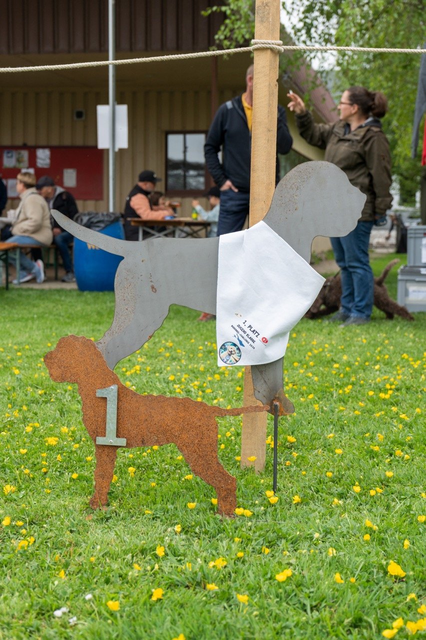 Rückblick Bodensee-Challenge 26./27. April 2025