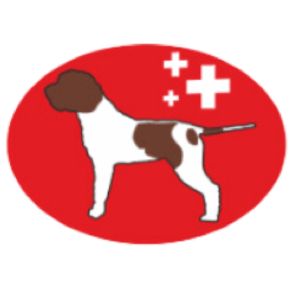 Änderungen im Vorstand des Lagotto Club Schweiz