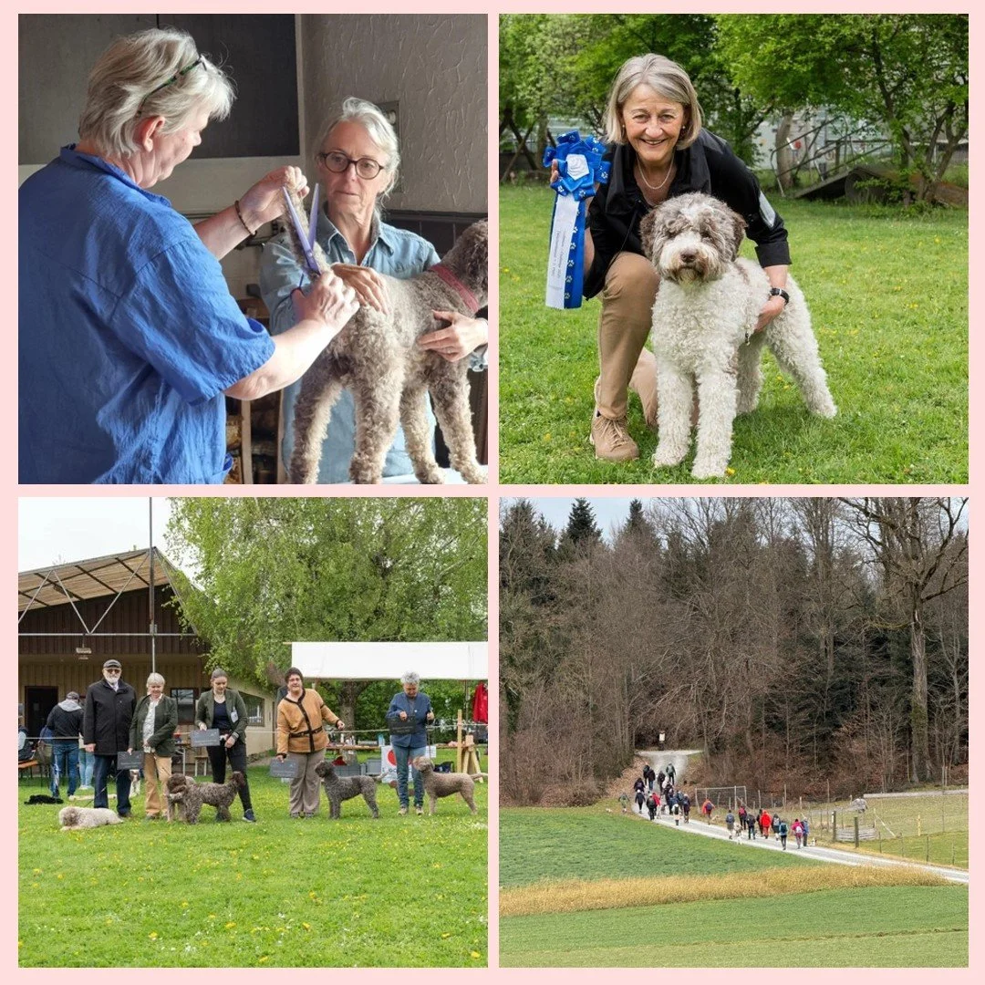Unsere Anlässe im Frühling und Bodensee Challenge!  