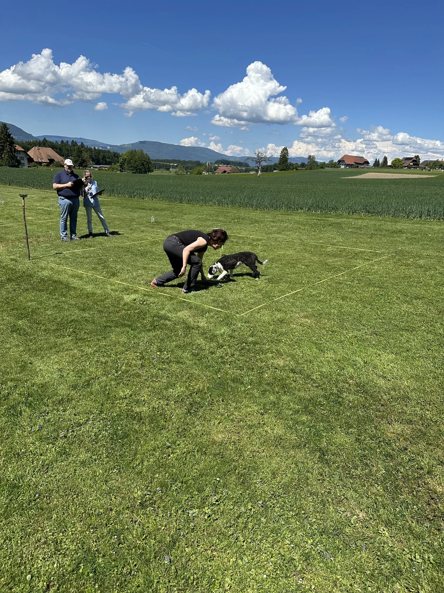 Rückblick 9. Mai - Tag des Hundes