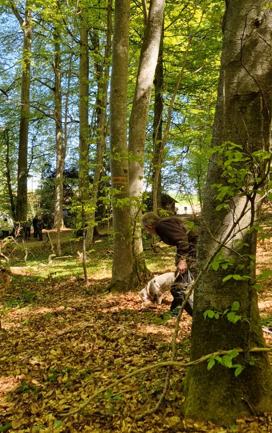 LCS Trüffelkurs – Motivierte Teilnehmende bei der ersten Waldpraxis des Jahres