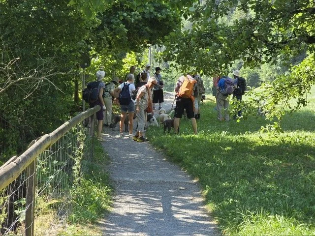 Emmental_3.JPG