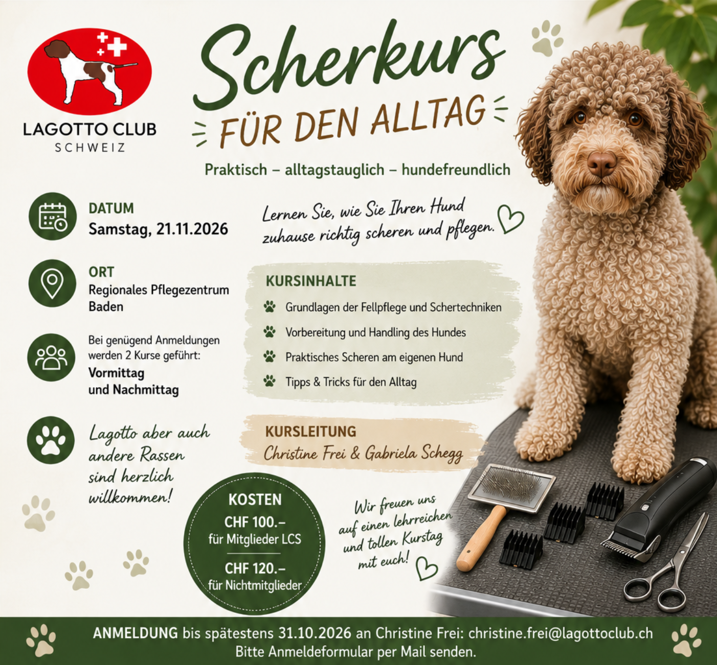Scherkurs für den Alltag