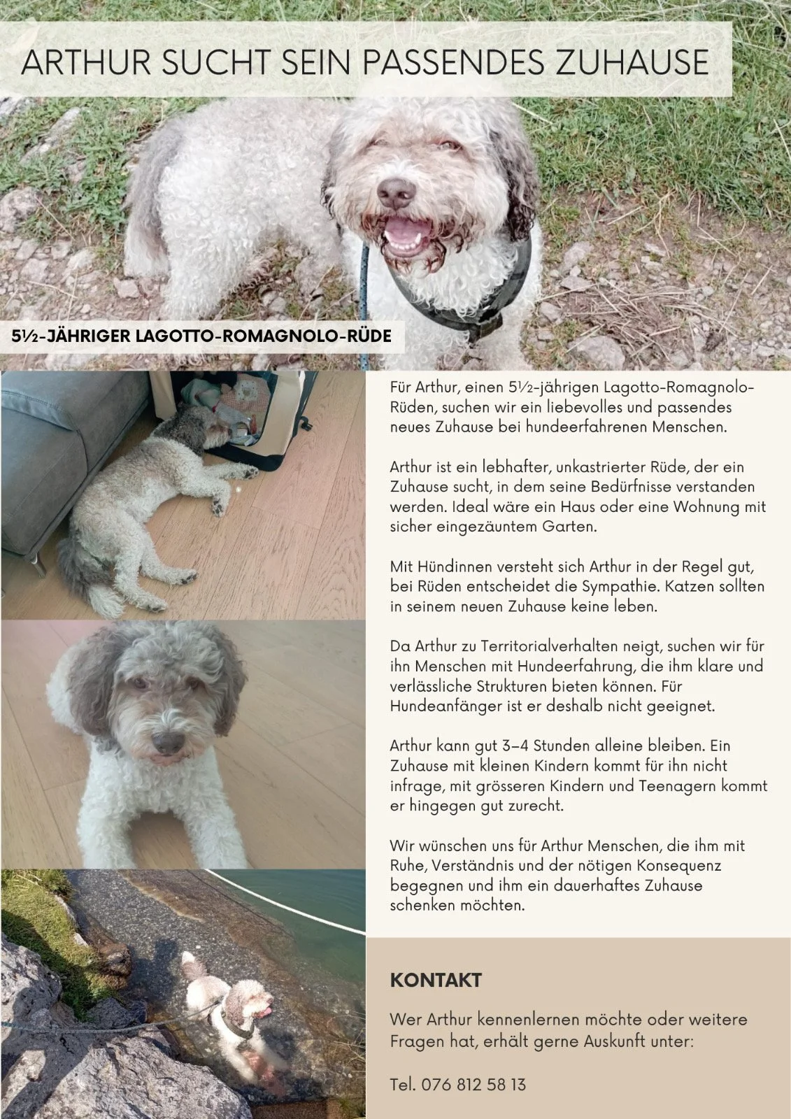 Arthur sucht ein neues Zuhause! 