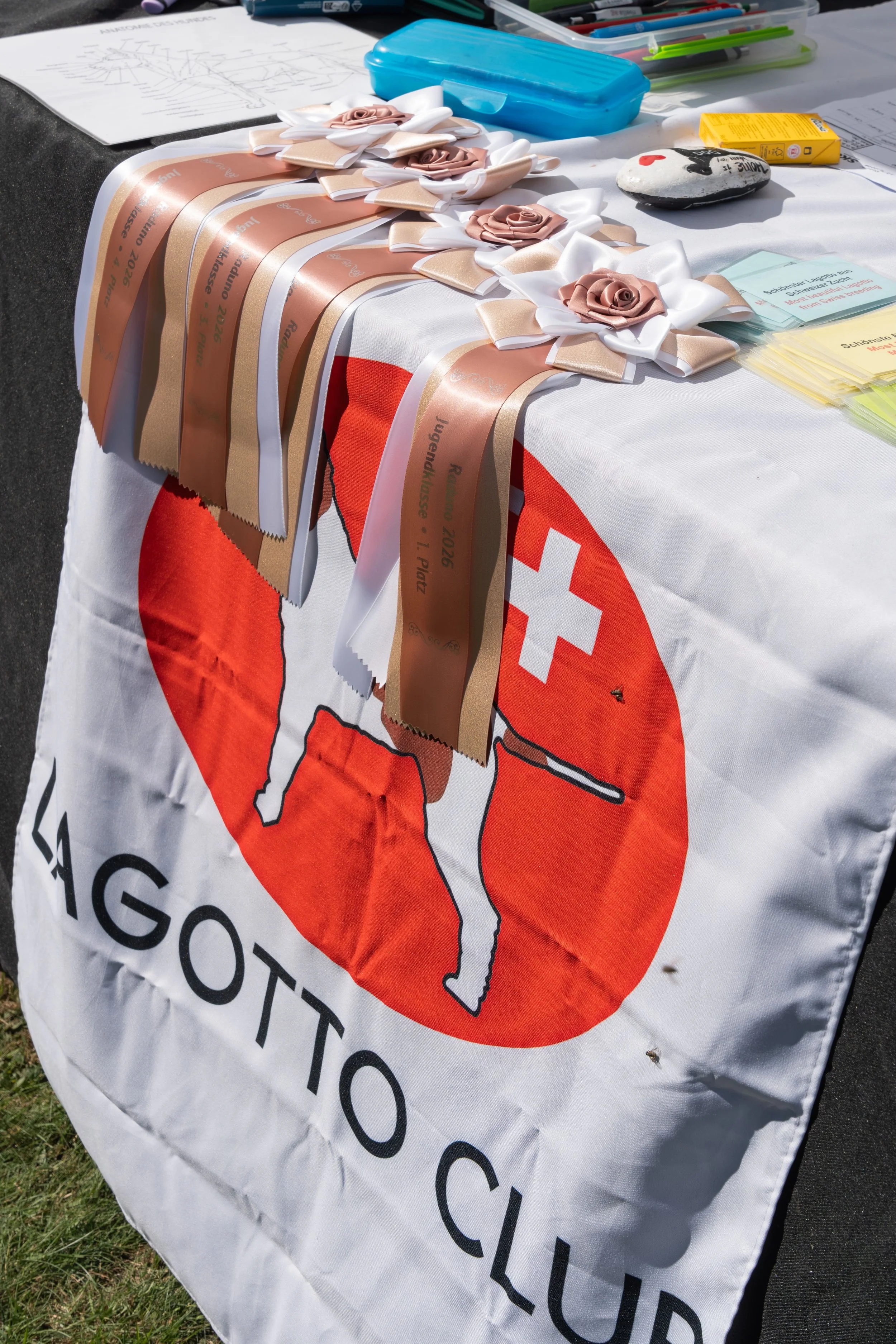 1_raduno26_ausst_MK_12.jpg