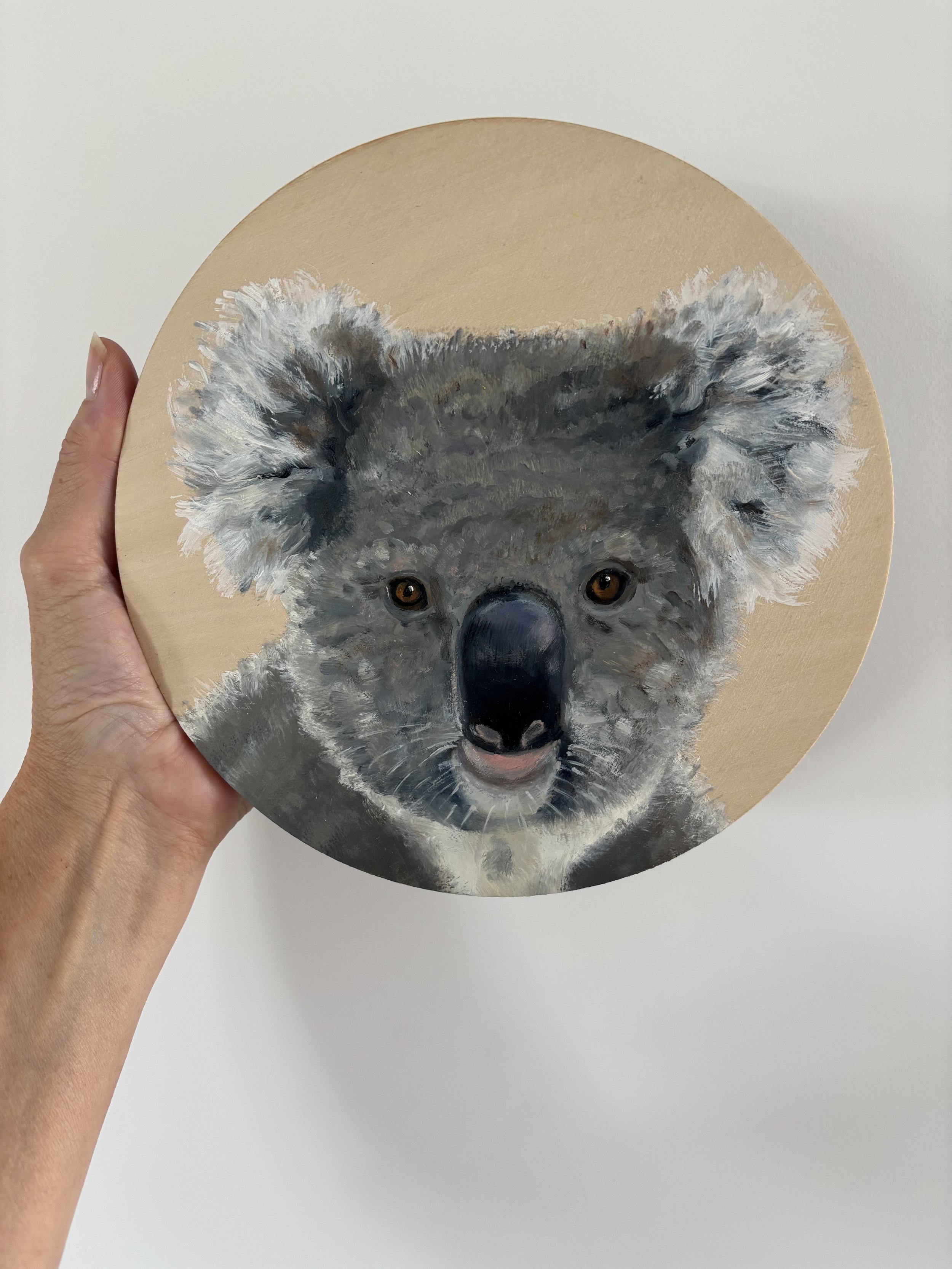 'Koala portrait' Oil on wooden panel
20cm diameter. Ready to hang $160 SOLD