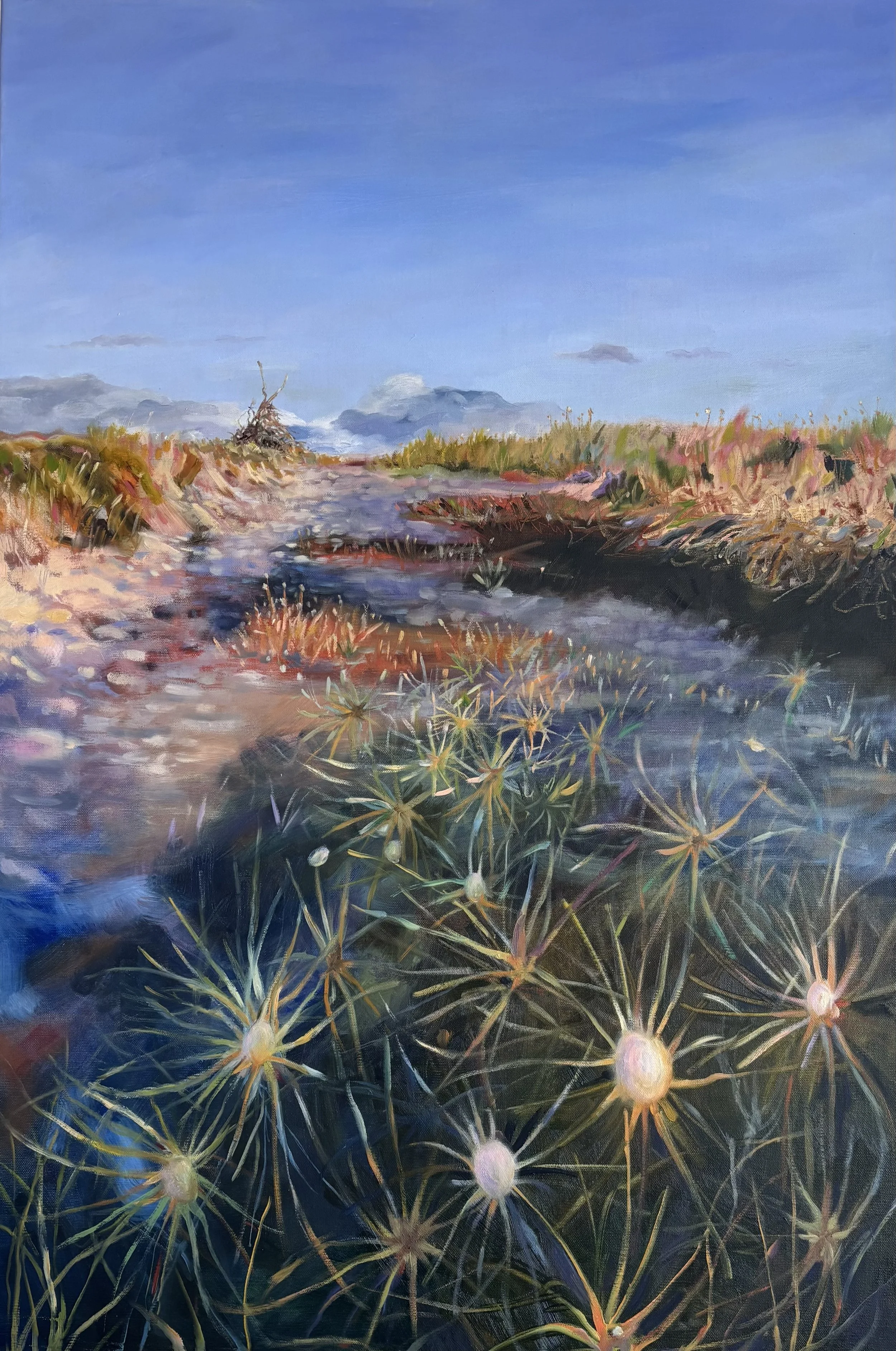 'Where wandering paths meet' 2025
63cm x 95cm Oil on Linen
Oak floating frame $1500 SOLD